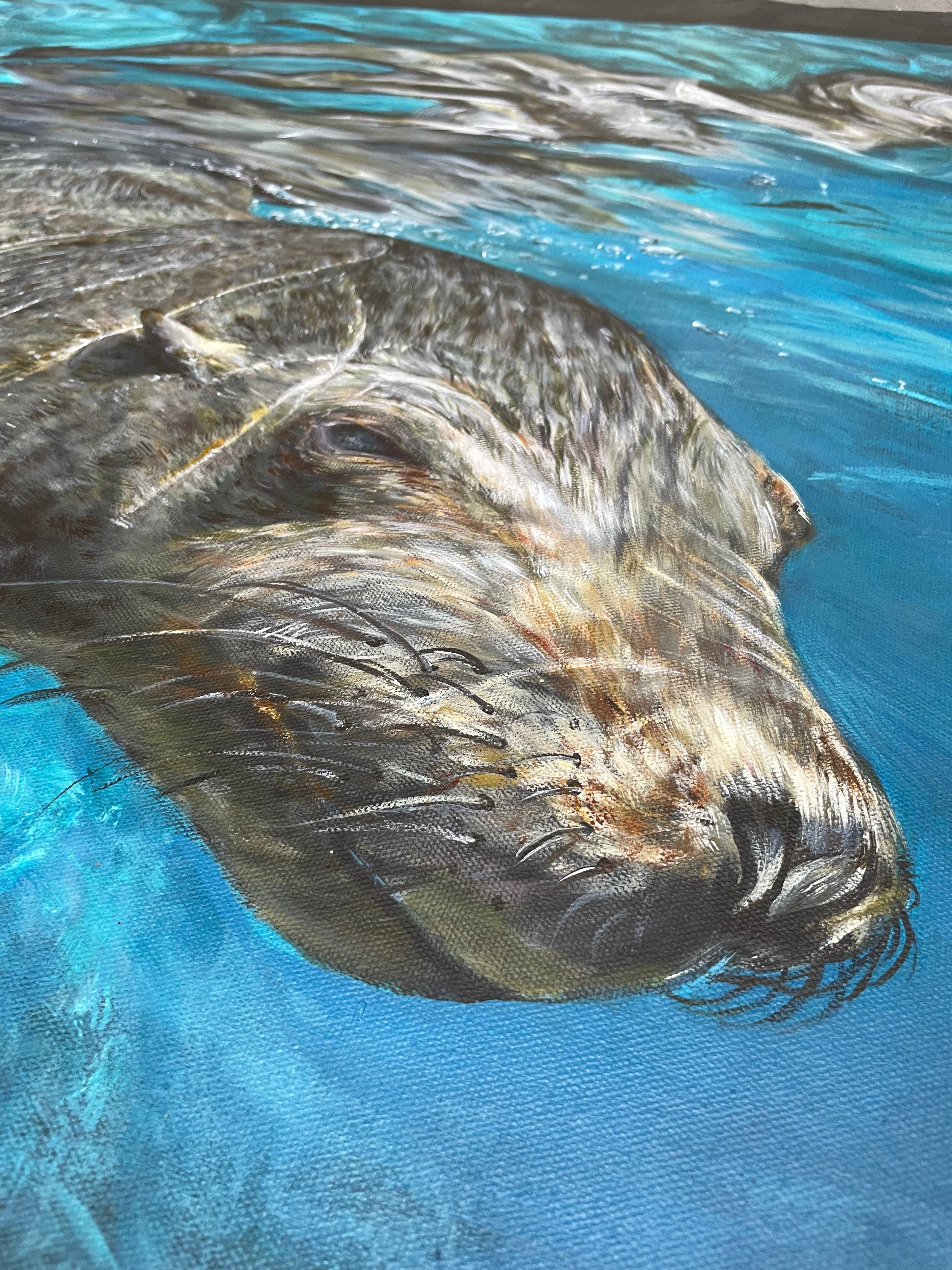 'Pinnipedia' | 90x120cm