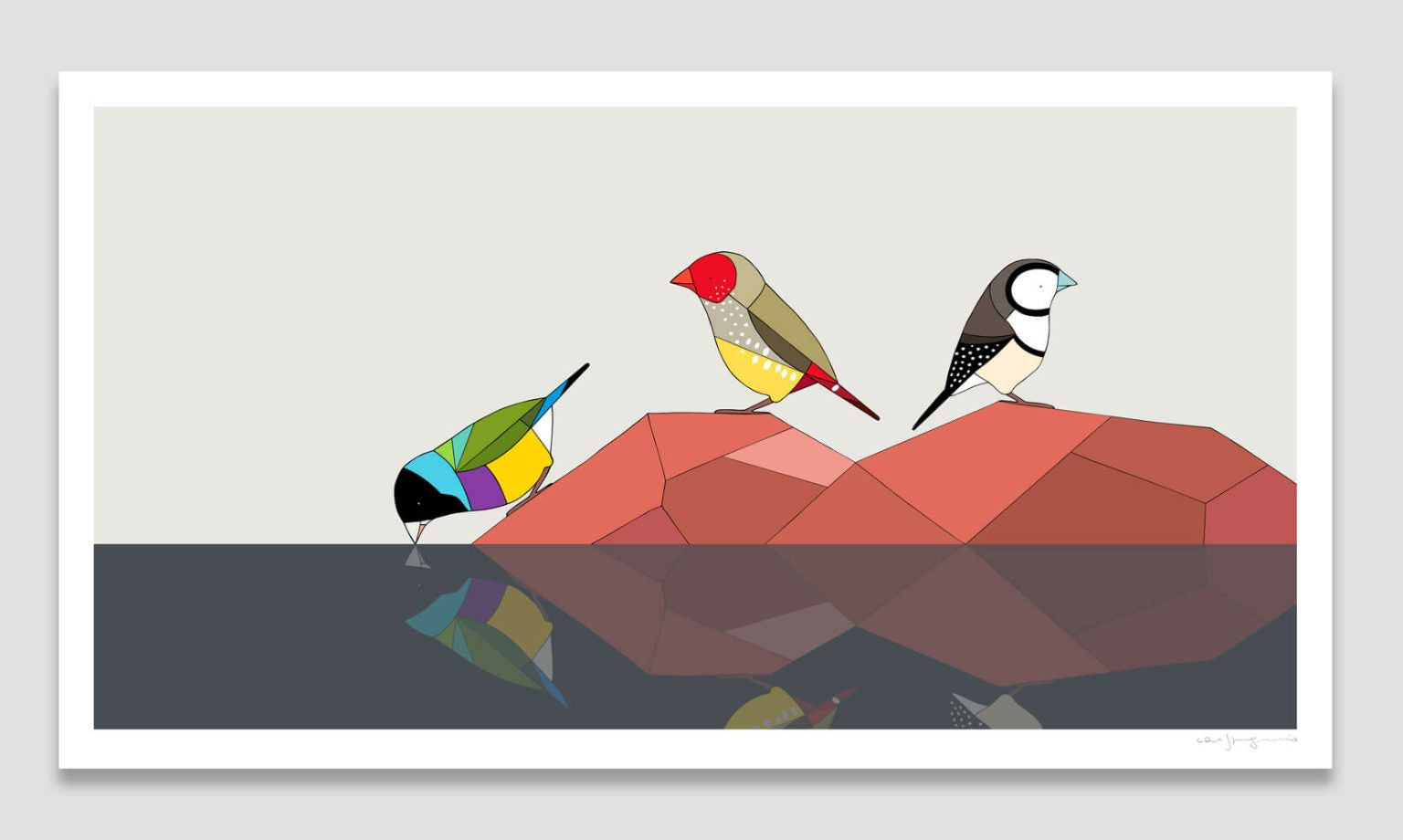 Gouldian Finch, Star Finch & Double Barred Finch | 104x45cm