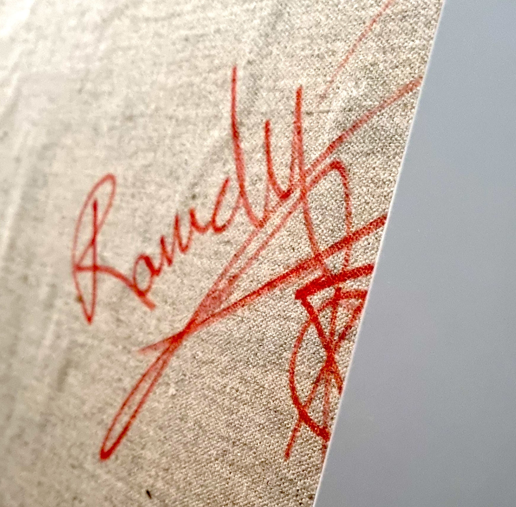 Wildflowers | 210x210cm