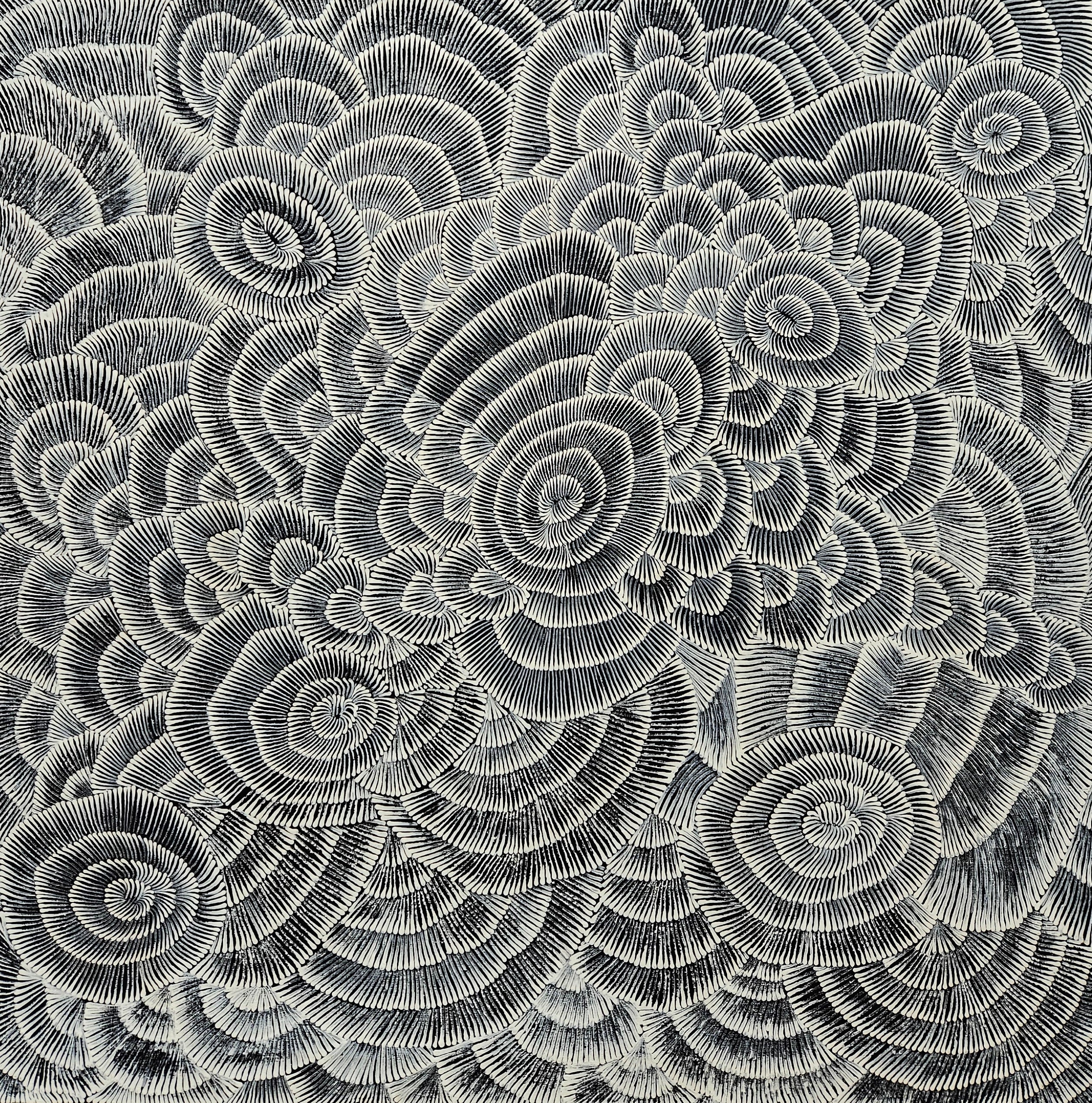 Enteebra | 122x125cm