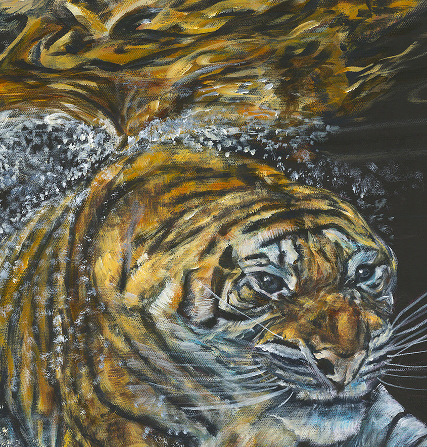 'Panthera Tigris' | 90x120cm