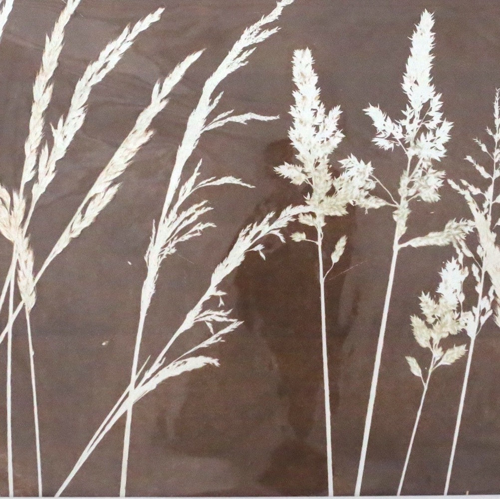 Fine Art Screen Prints & Lithographs