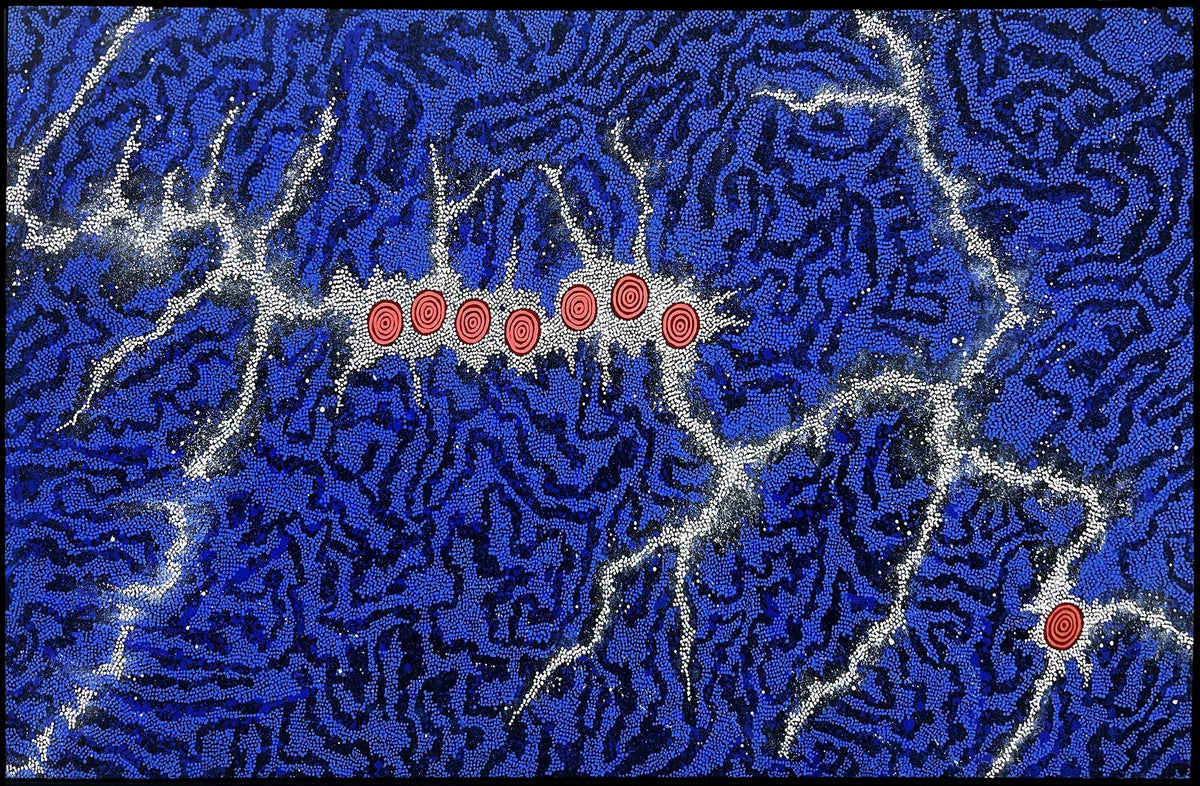 Gabriella Possum Nungurayi, Seven Sisters, 2005