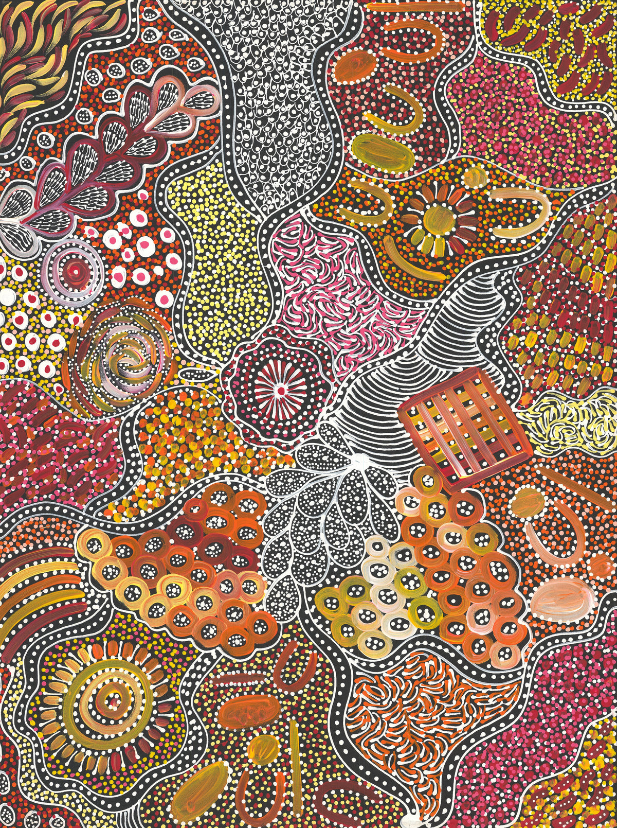 Janet Golder Kngwarreye, My Country, 2024