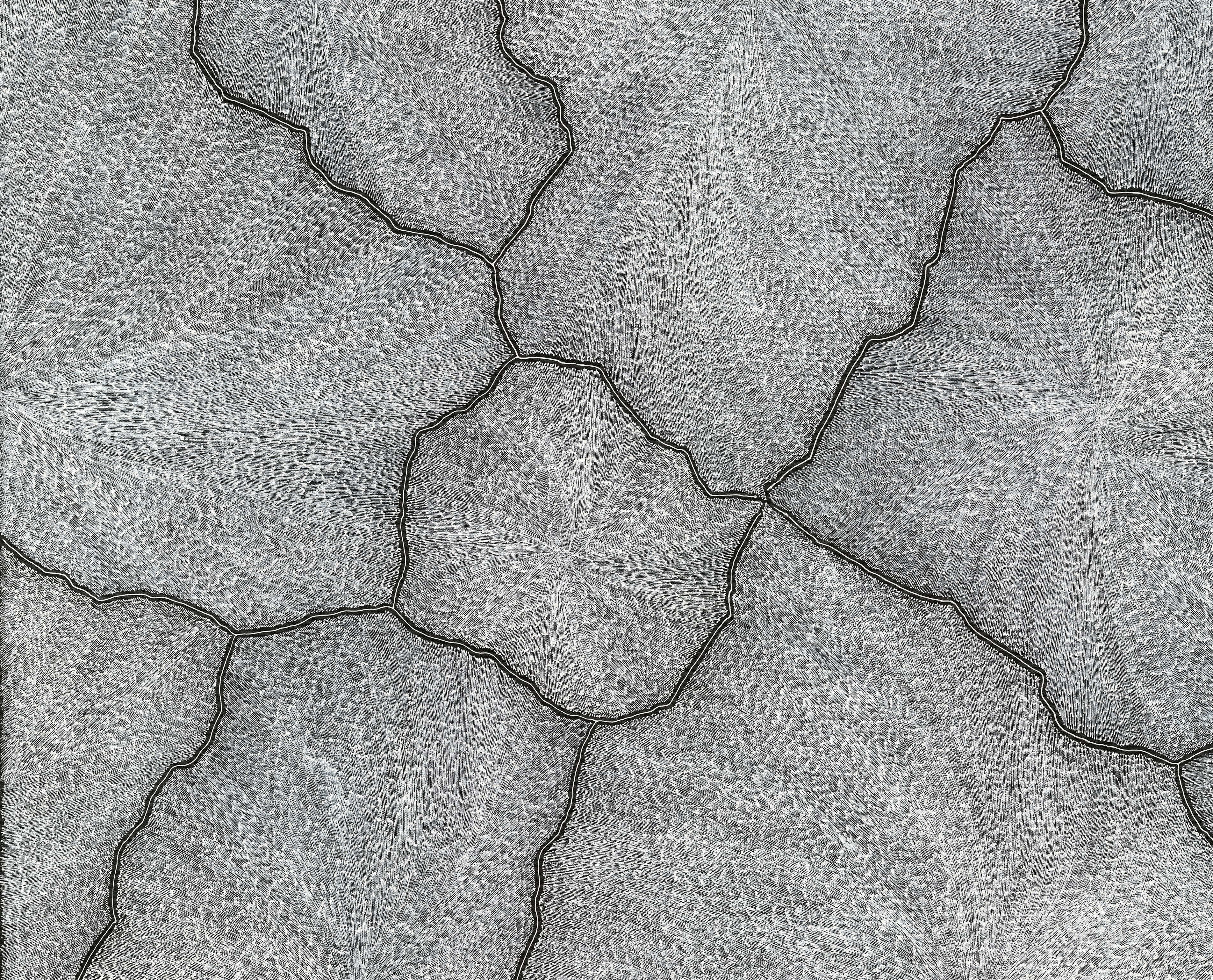 Director's Collection