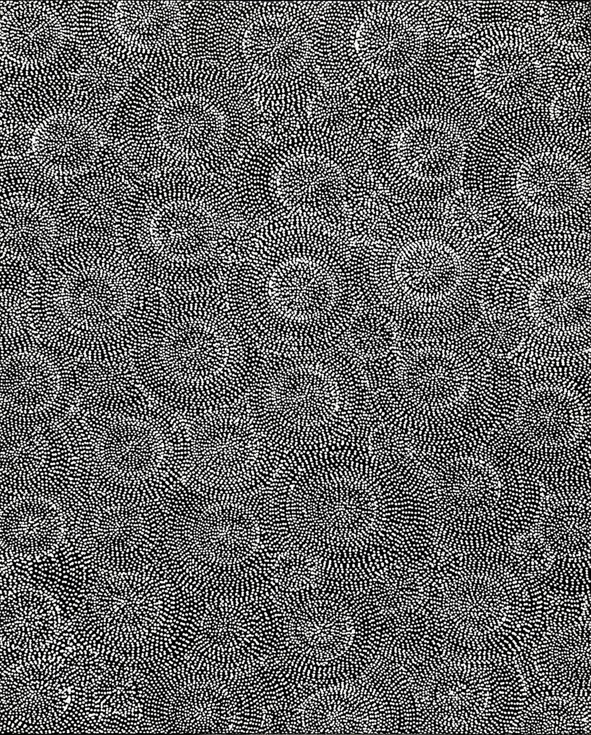 William King Jungala, Earth Cycles, 2007