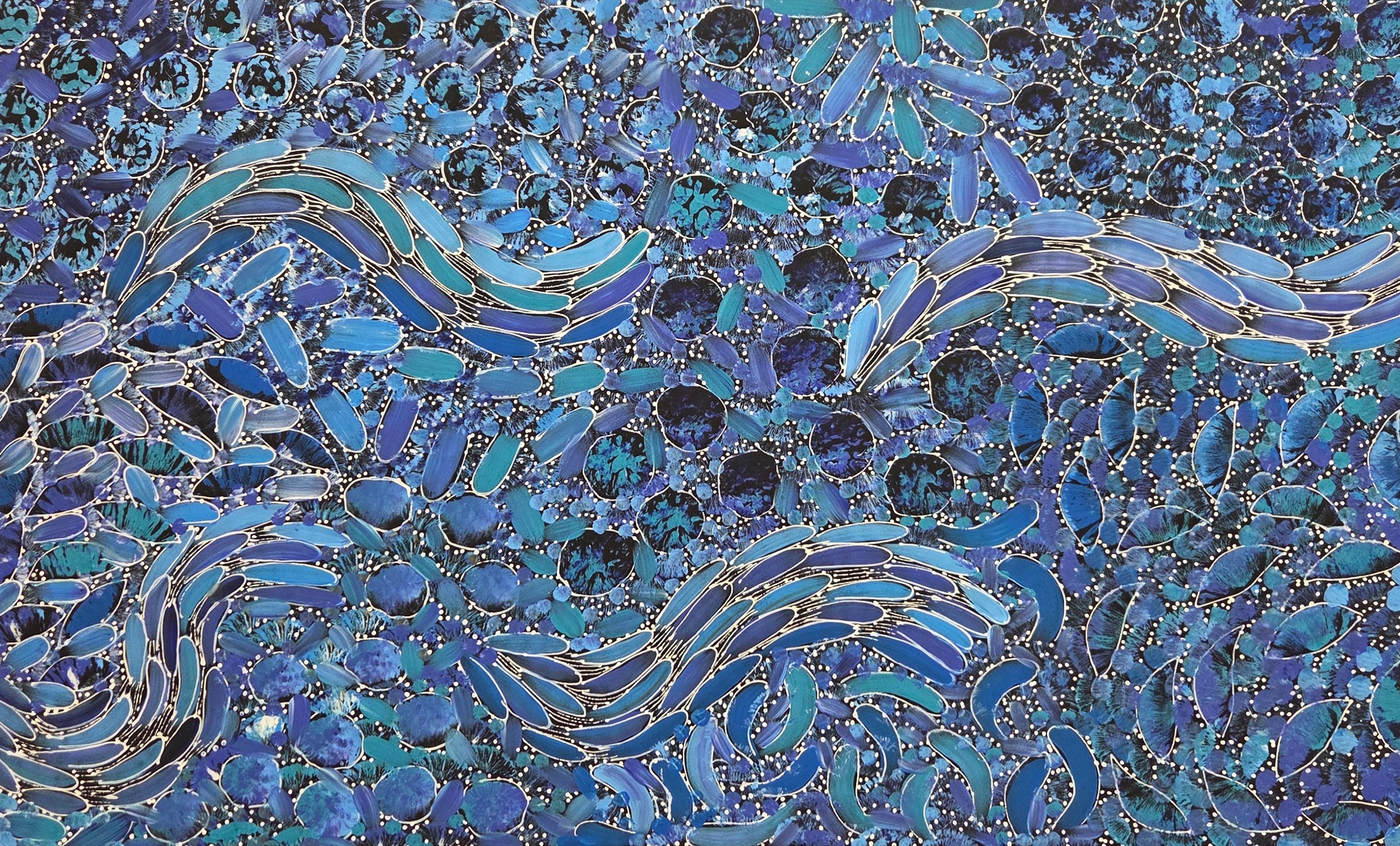 Rachael Nambula | 'Yam Dreaming, 2024' | 90x146cm-thumbmail-1