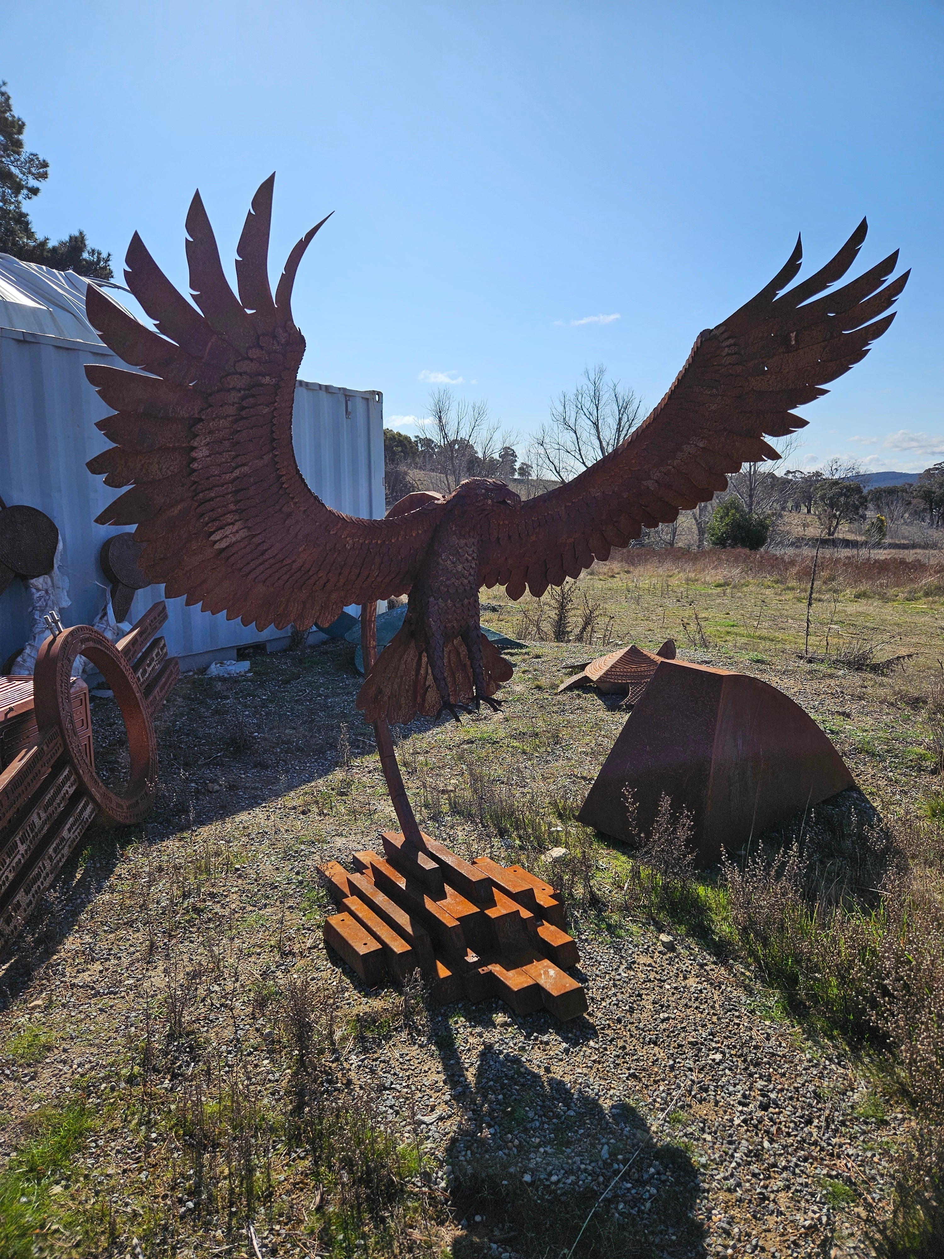 'Eagle'  | 260x175x100cm-thumbmail-2