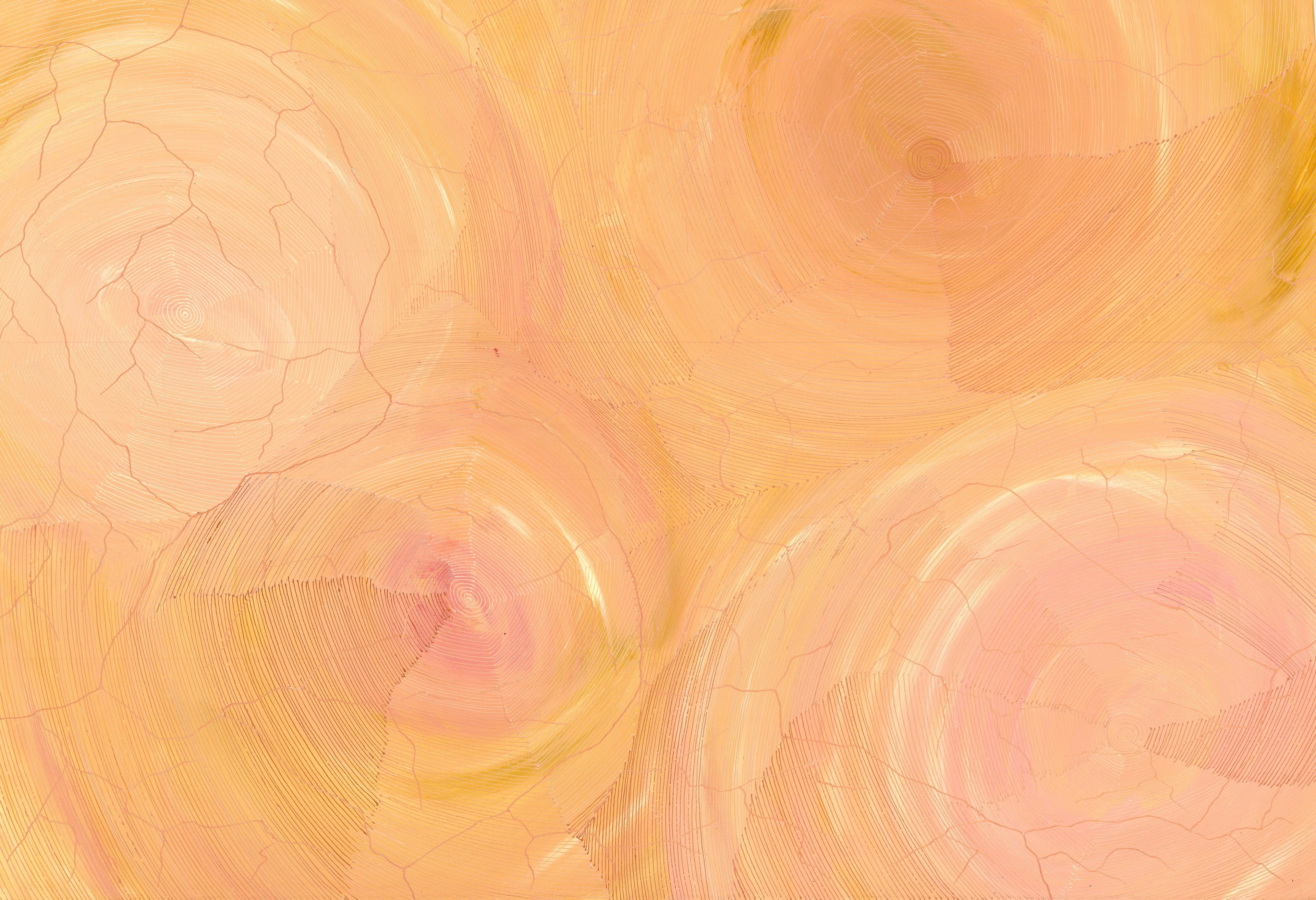 Sarrita King | 'Ngurra Janginyina' | 60x90cm