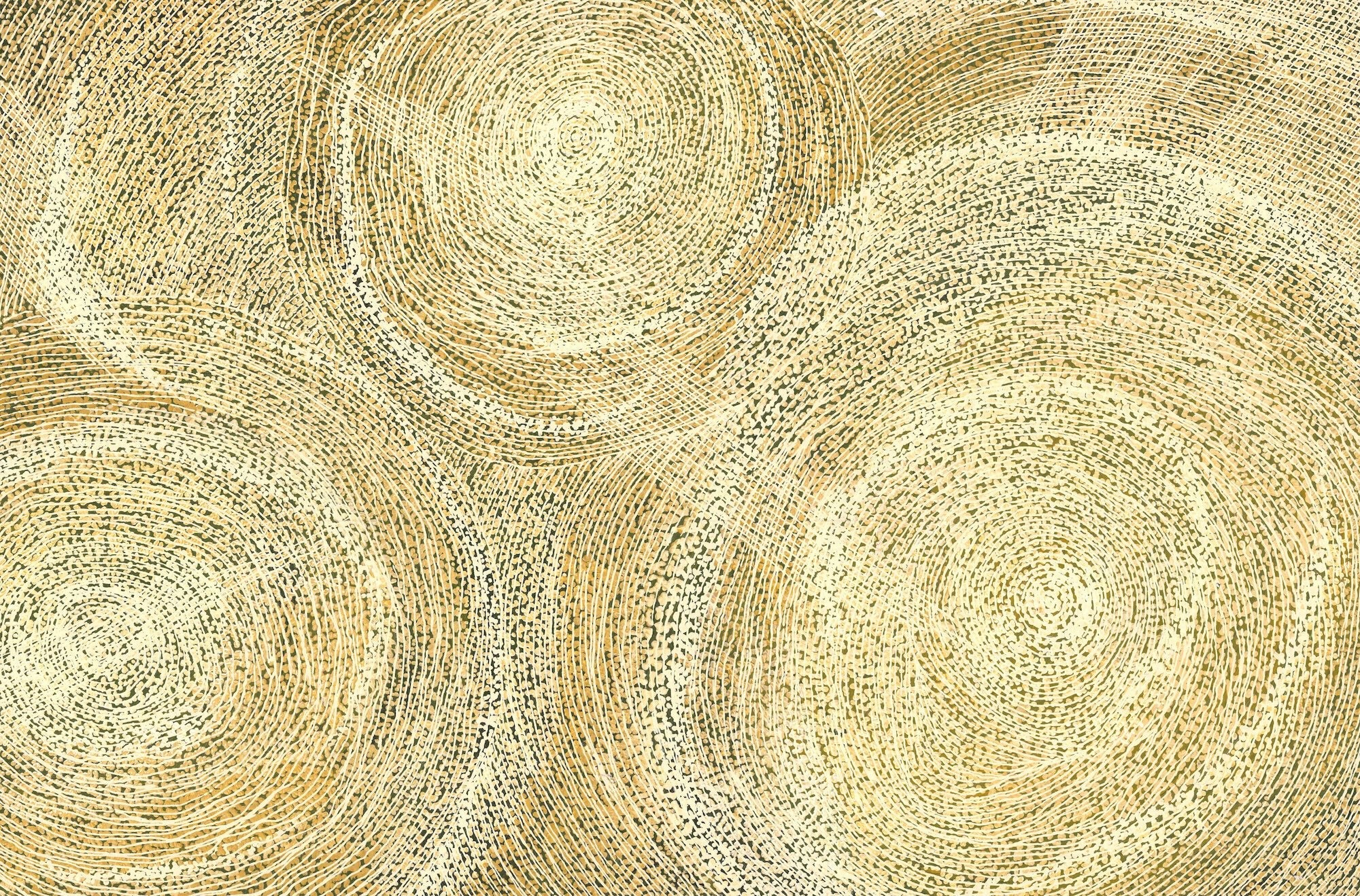 Gurindji | 40x60cm-thumbmail-1