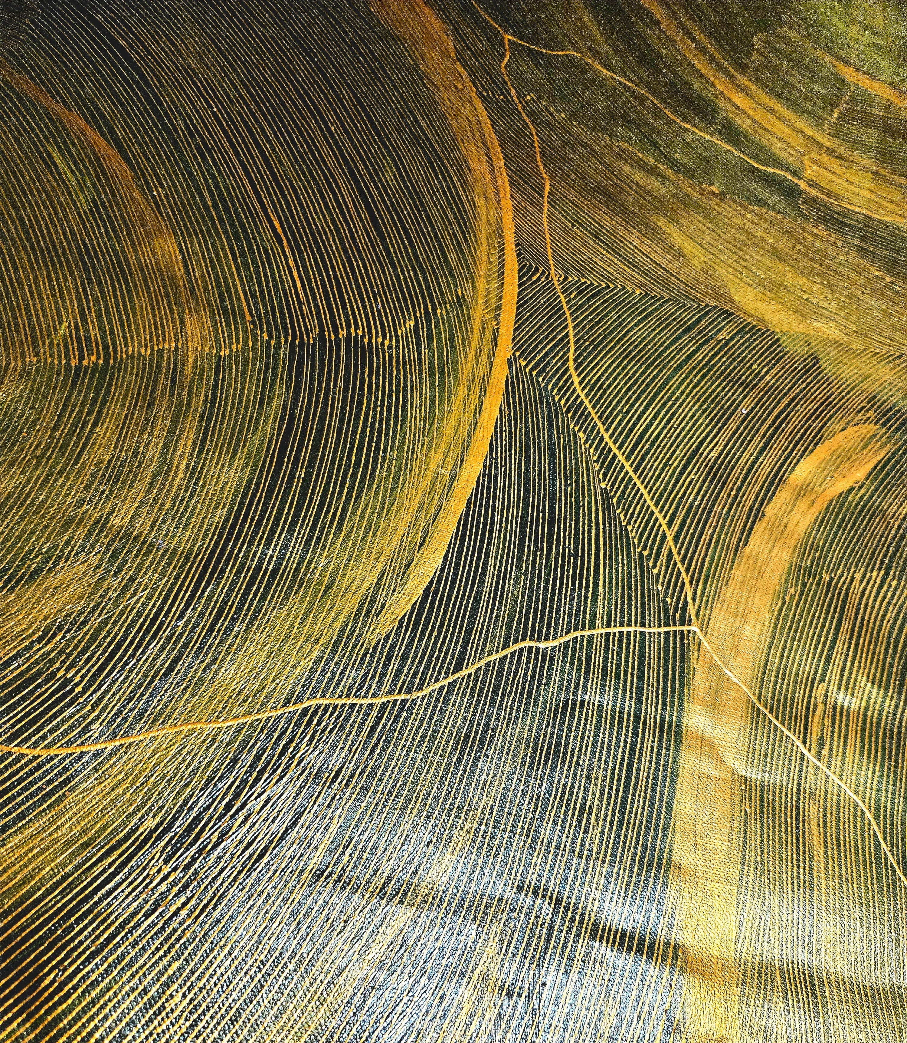 'Ngurra' | 120x240cm-thumbmail-2