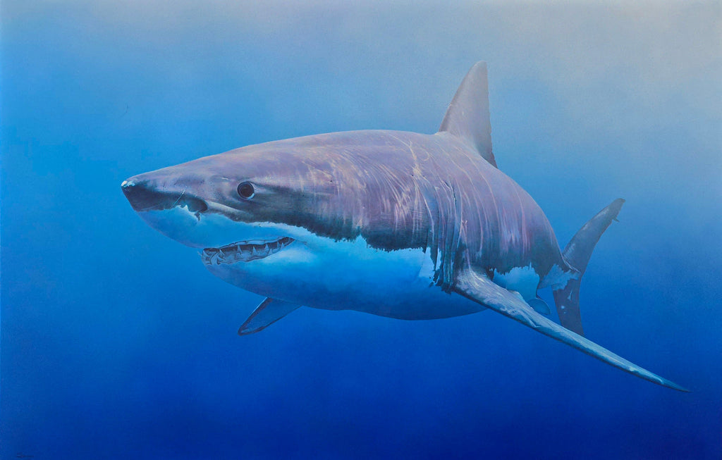 Sargis Hovhannisyan | 'Shark, 2022' | 130x200cm