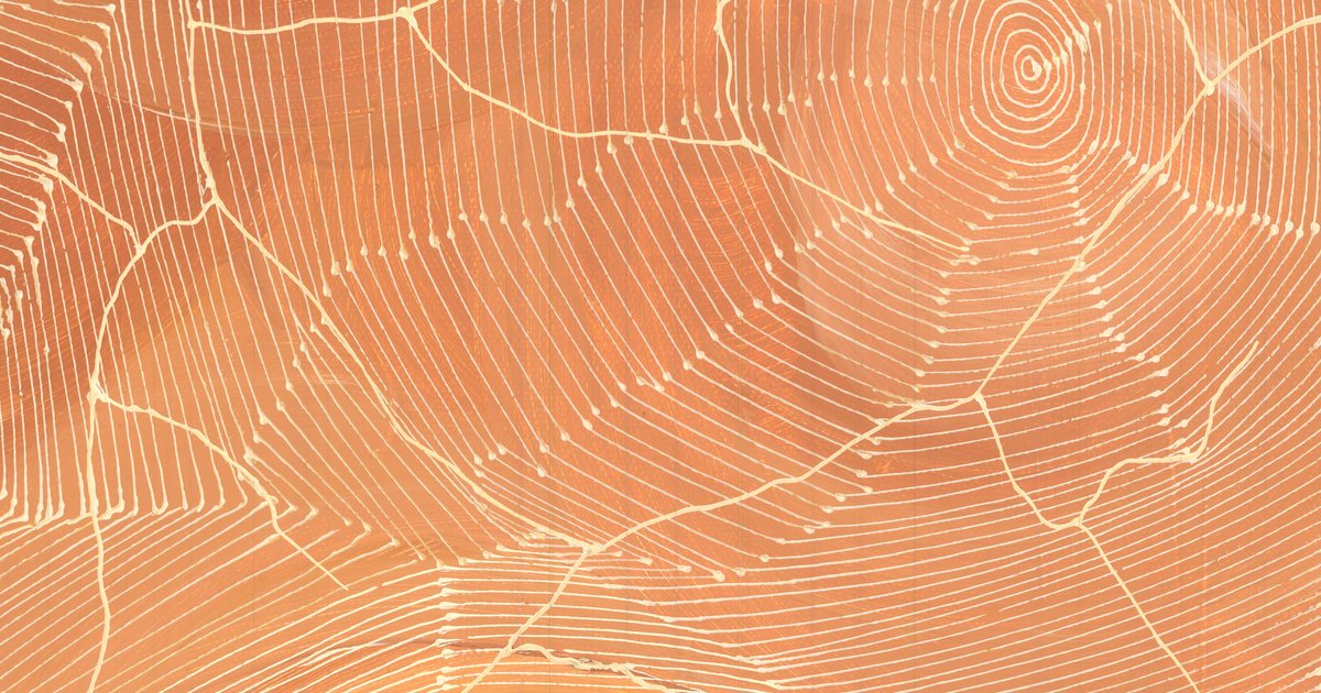 Sarrita King | 'Ngurra, 2025' | 30x60cm-thumbmail-2