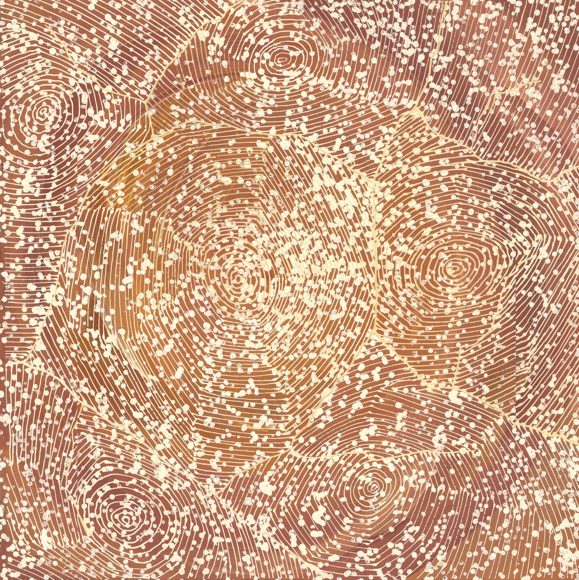 An aerial-style dot painting in warm terracotta and cream, with concentric circles and flowing combed lines suggesting waterholes, dunes and pathways across Country.