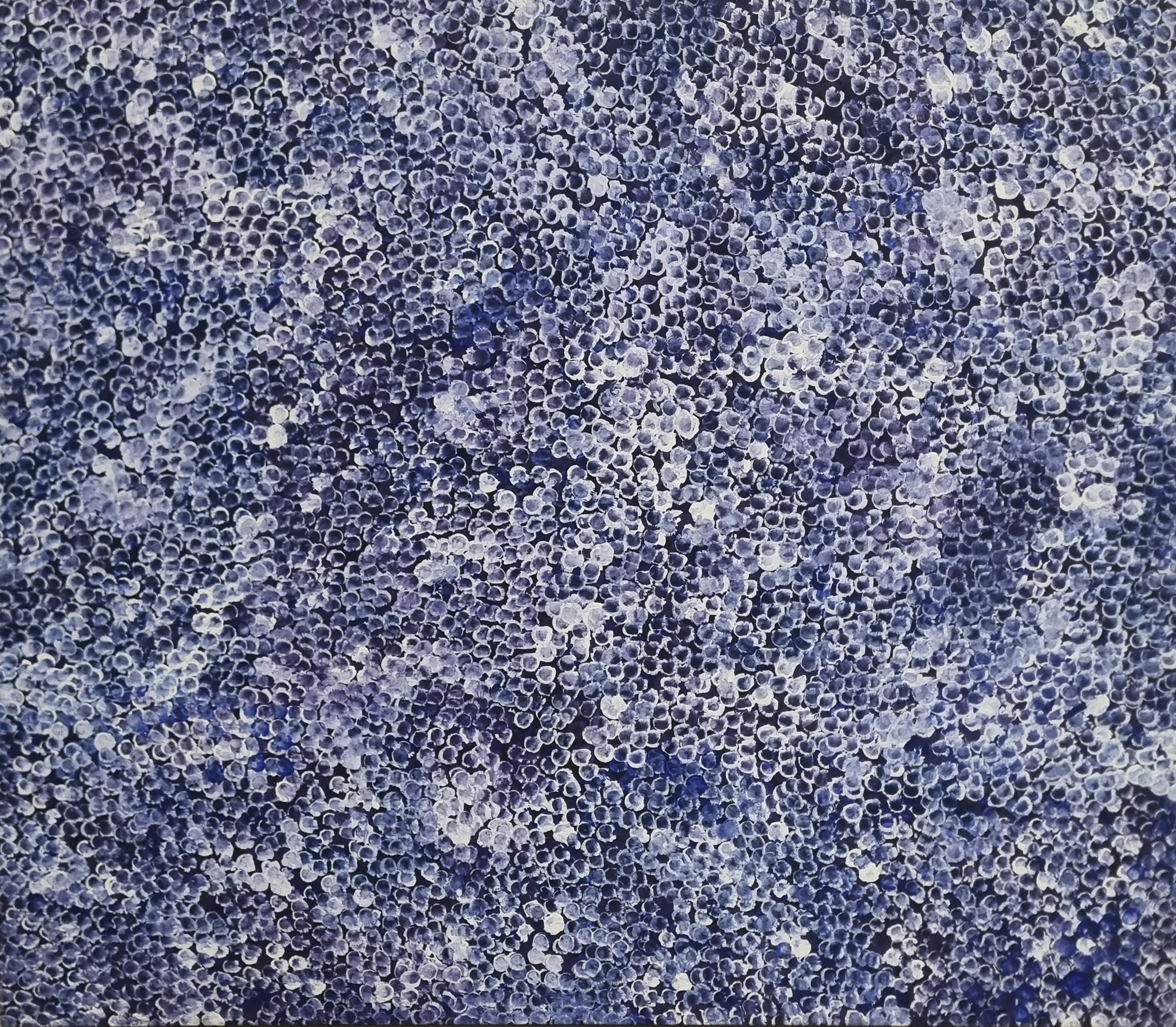 Polly Nelson Ngale | 'Bush Plum, 2021' | 106X95cm