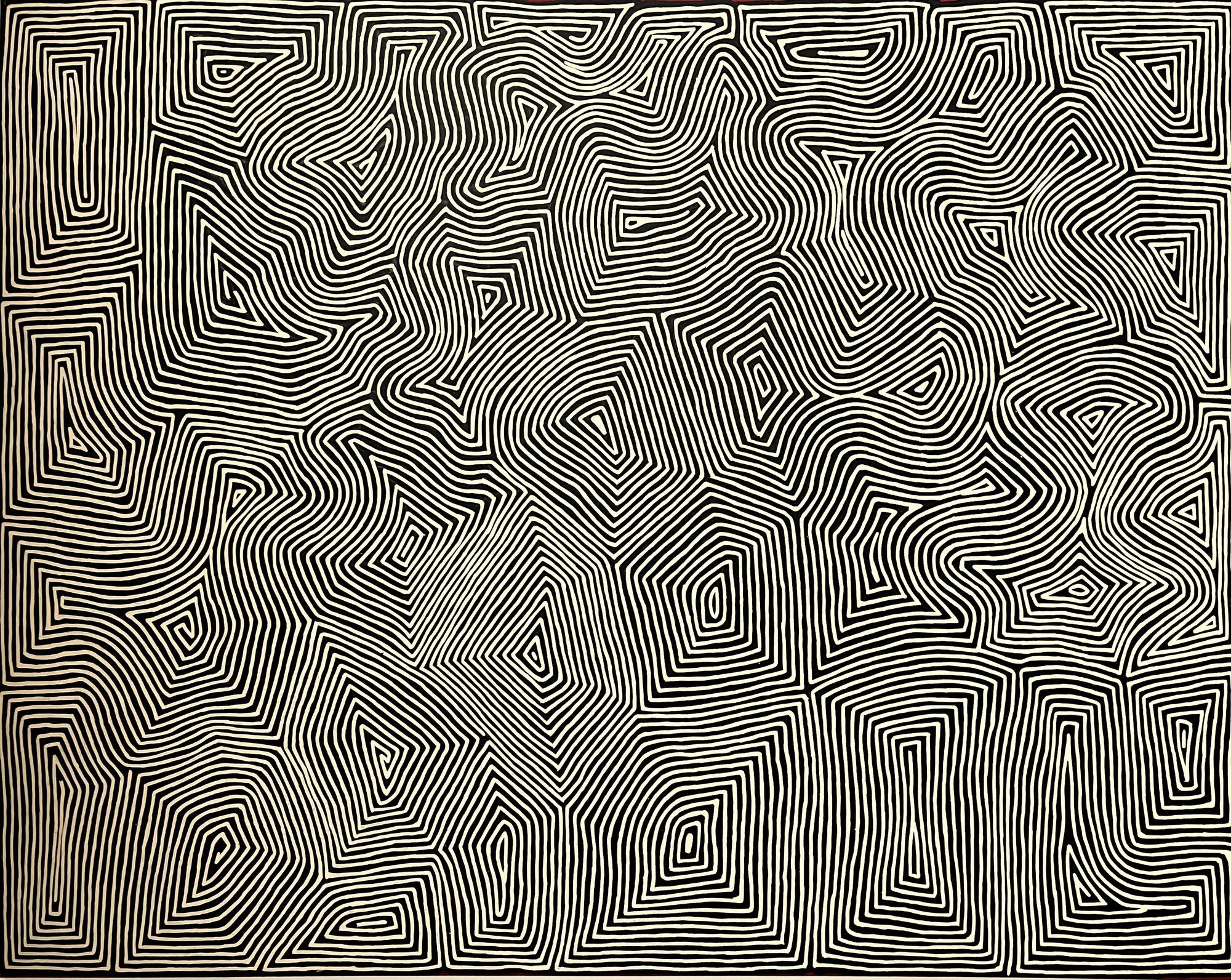 Additional view of Tingari by George Hairbrush Tjungurrayi