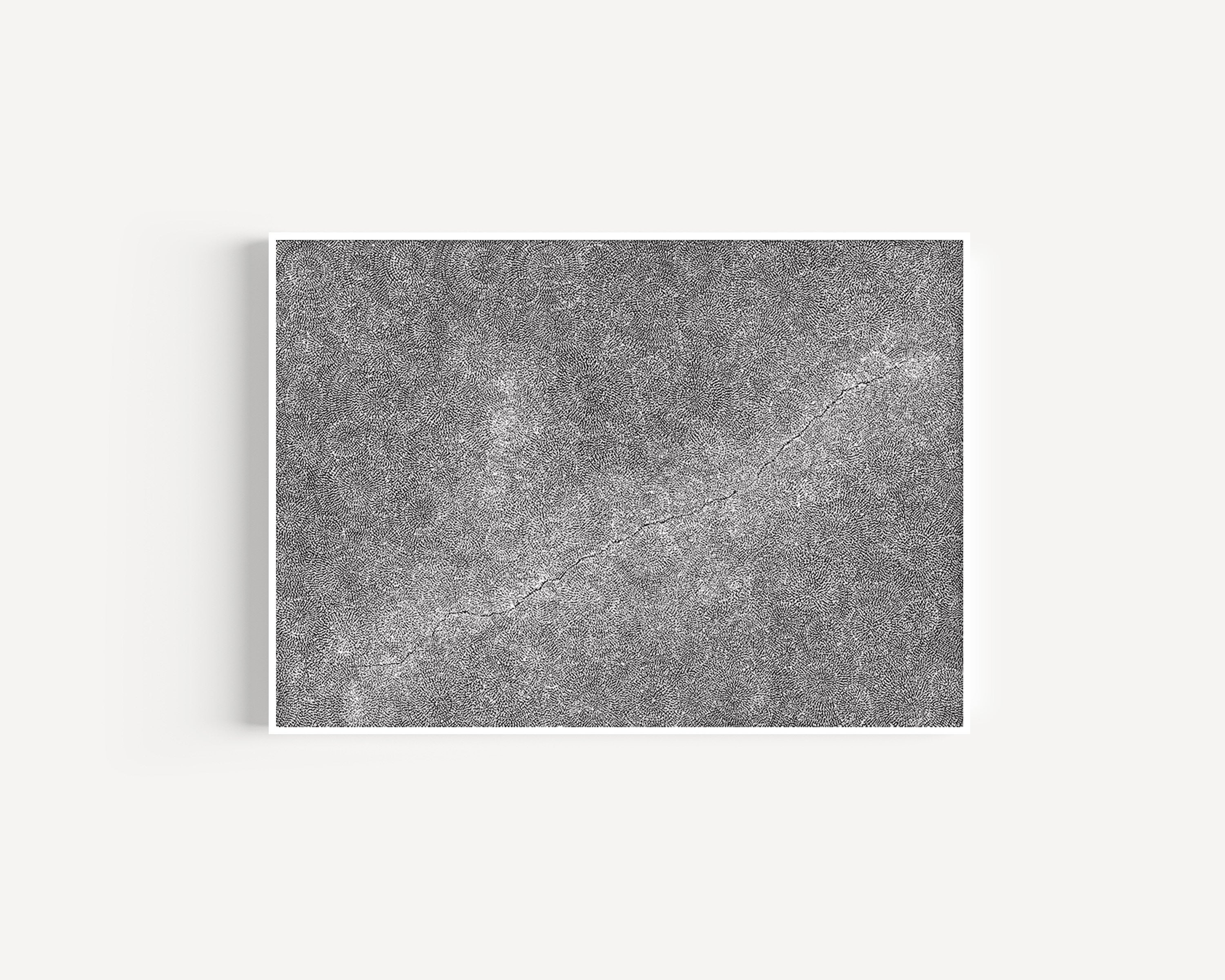 William King | 'Earth Cycles, 2007' | Canvas Print