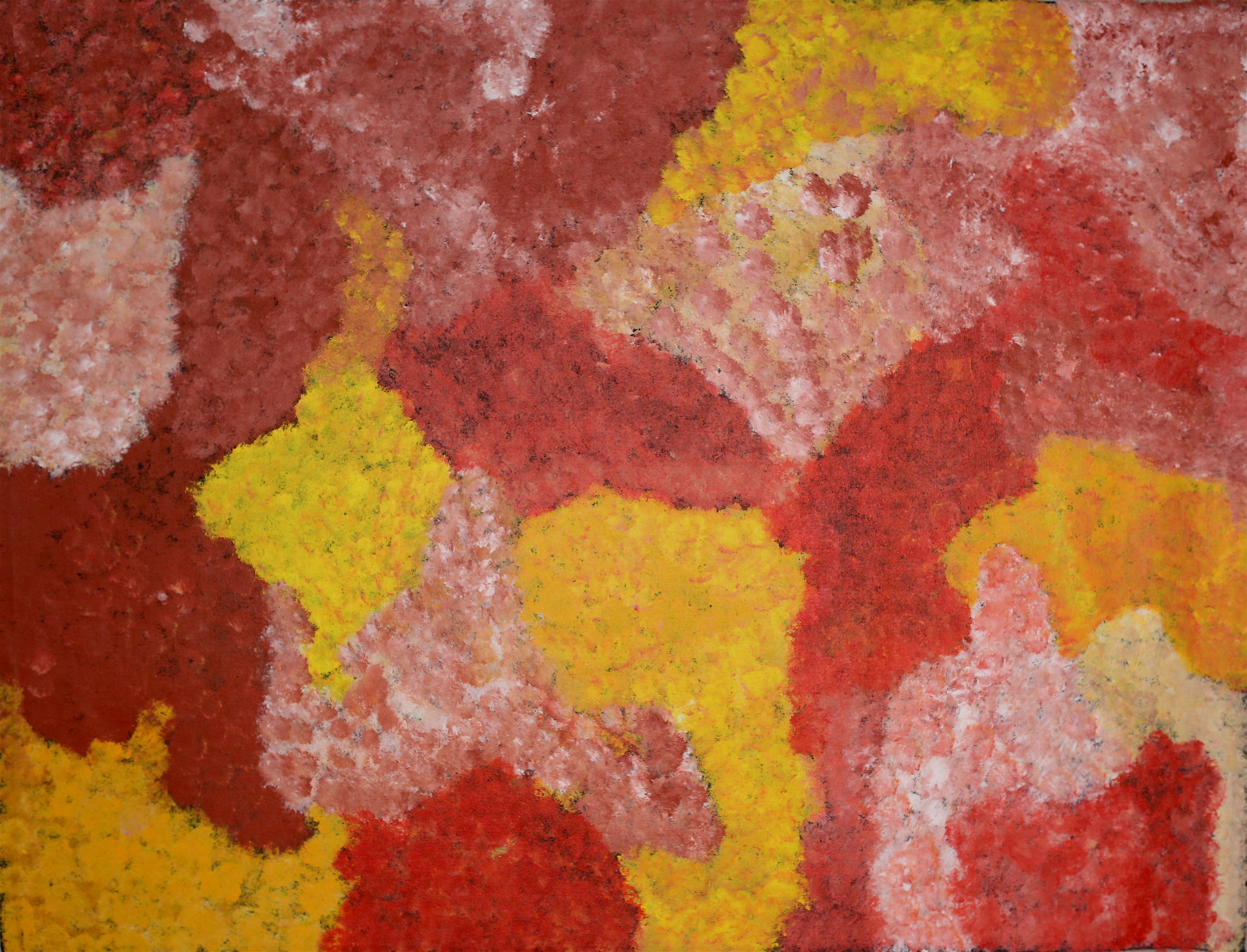 'Bush Yam' | 119x89cm-thumbmail-1