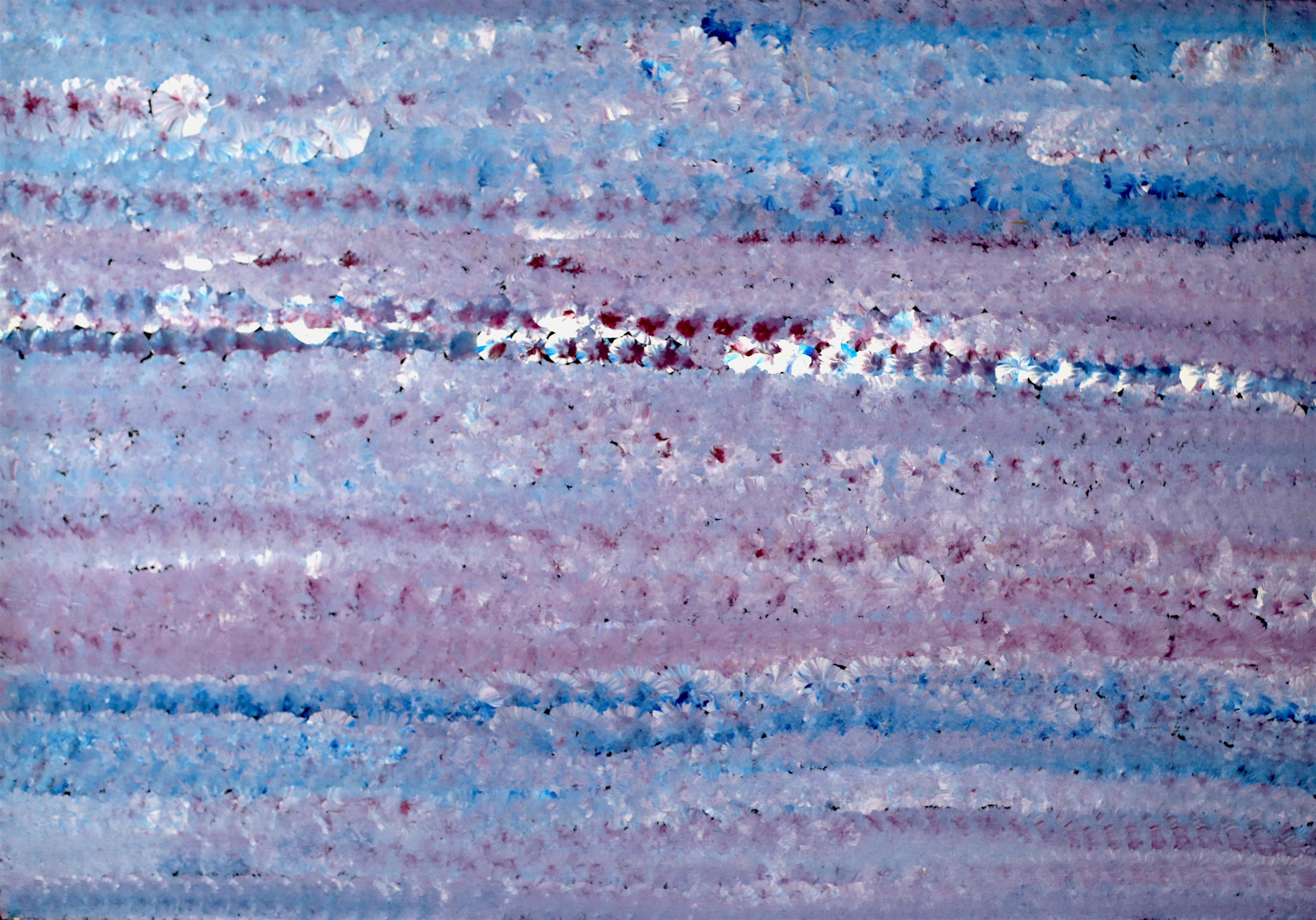 'Bush Yam' | 63x93cm-thumbmail-1