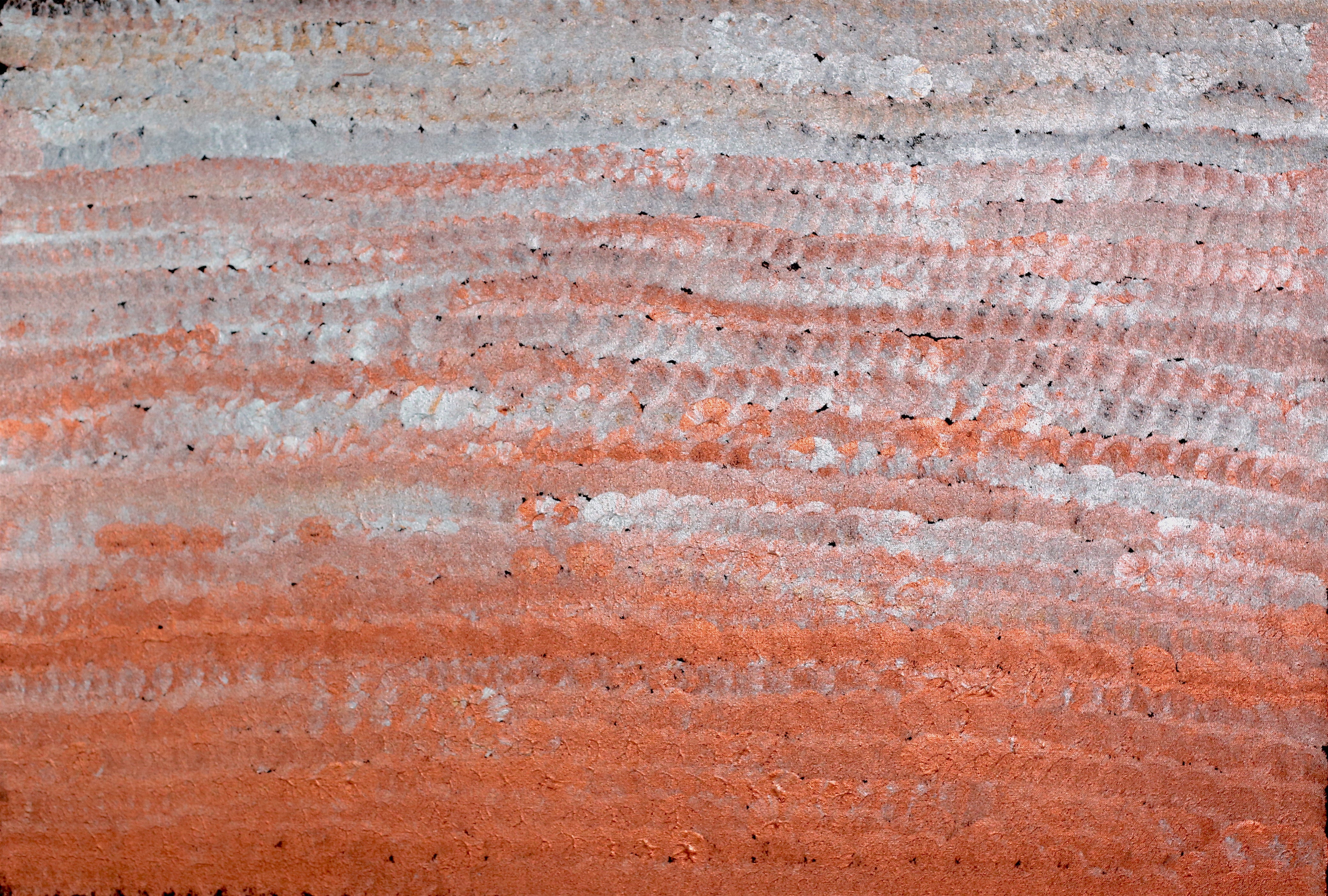 'Bush Yam' | 60x89cm-thumbmail-1
