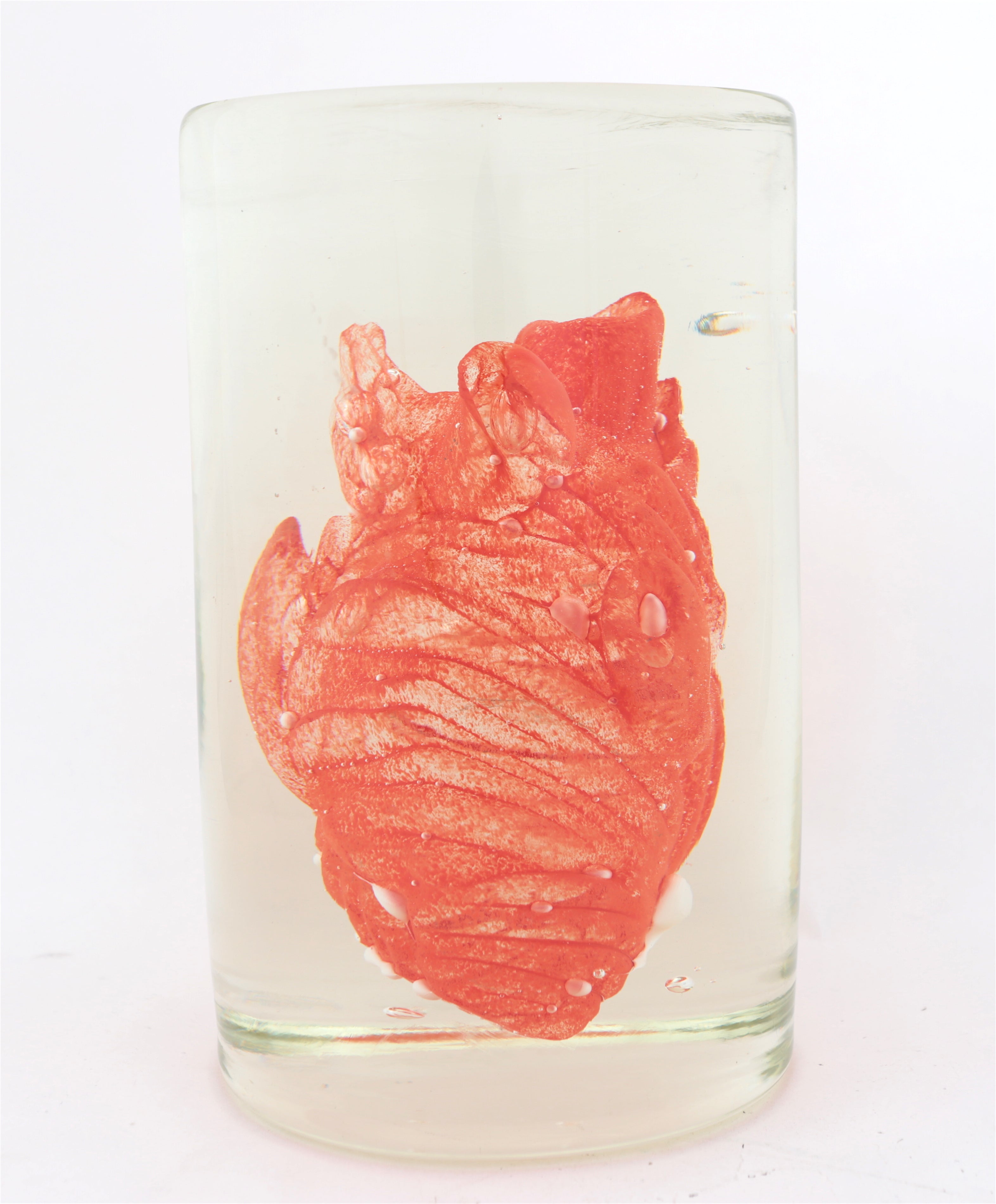 'Cardiovascular' | 22.5x14x14cm