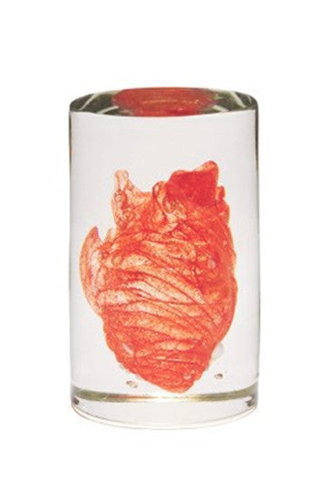 'Cardiovascular' | 22.5x14x14cm-thumbmail-1