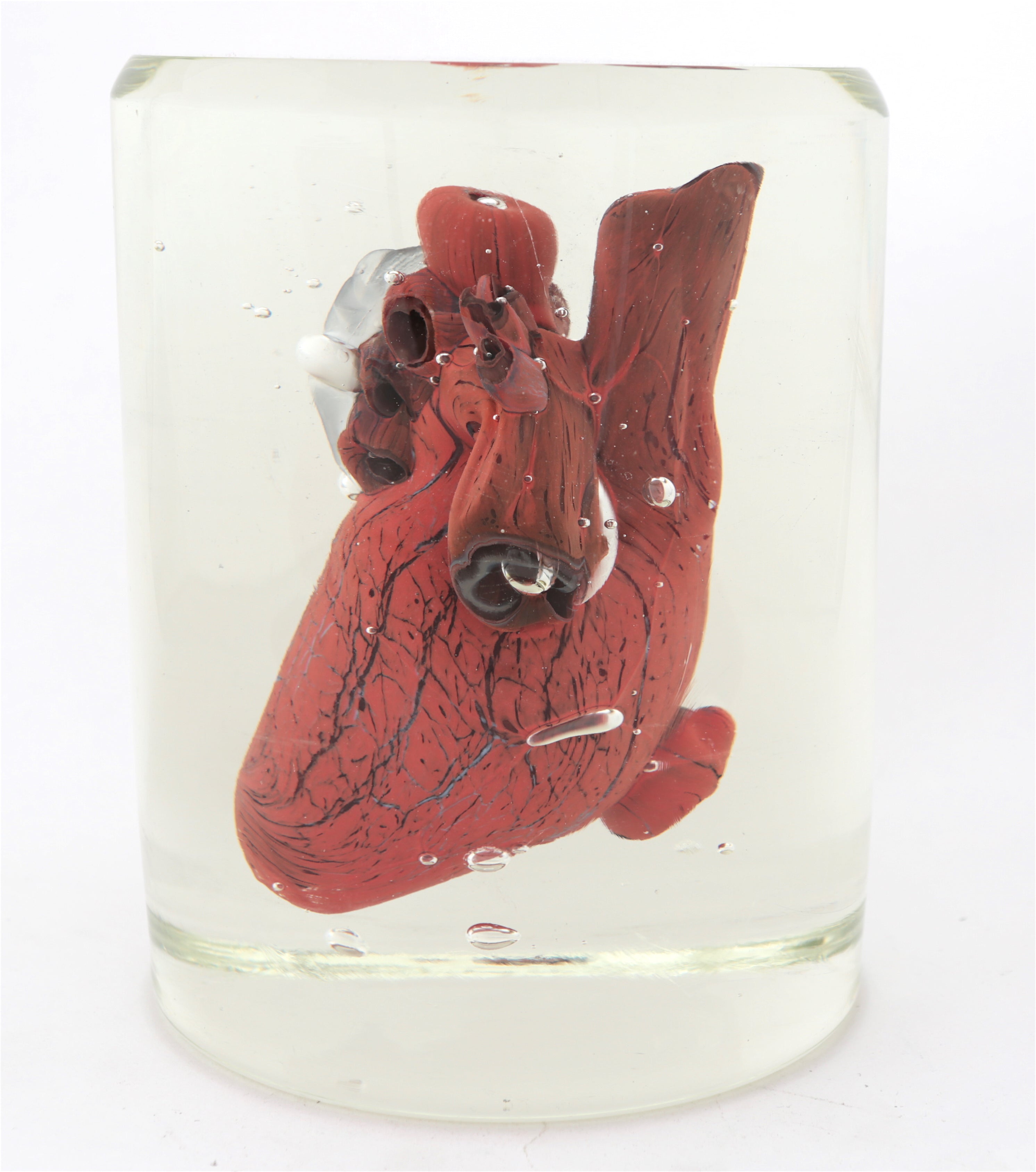 'Study' | 19x14.5x14.5cm