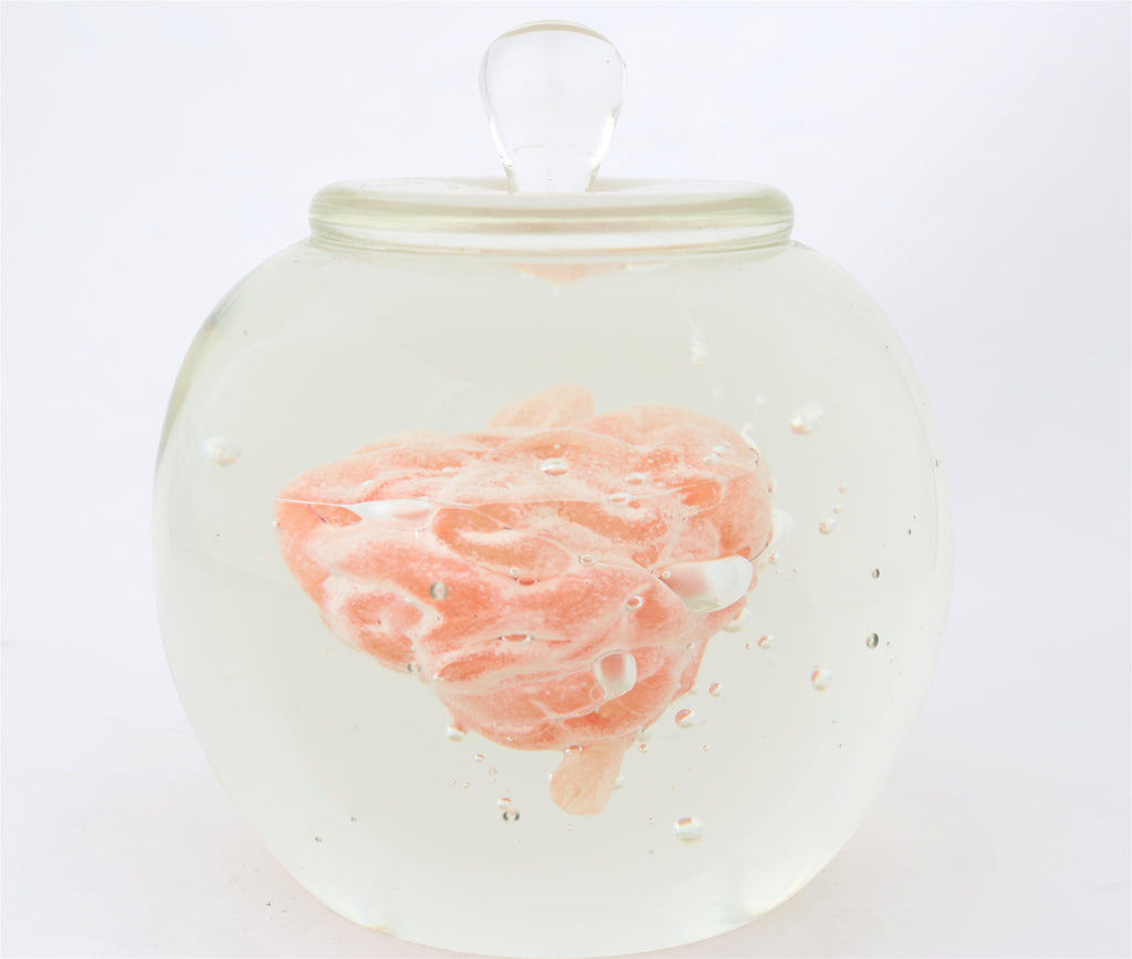 'Preservation Of Knowledge' | 20x17x17cm