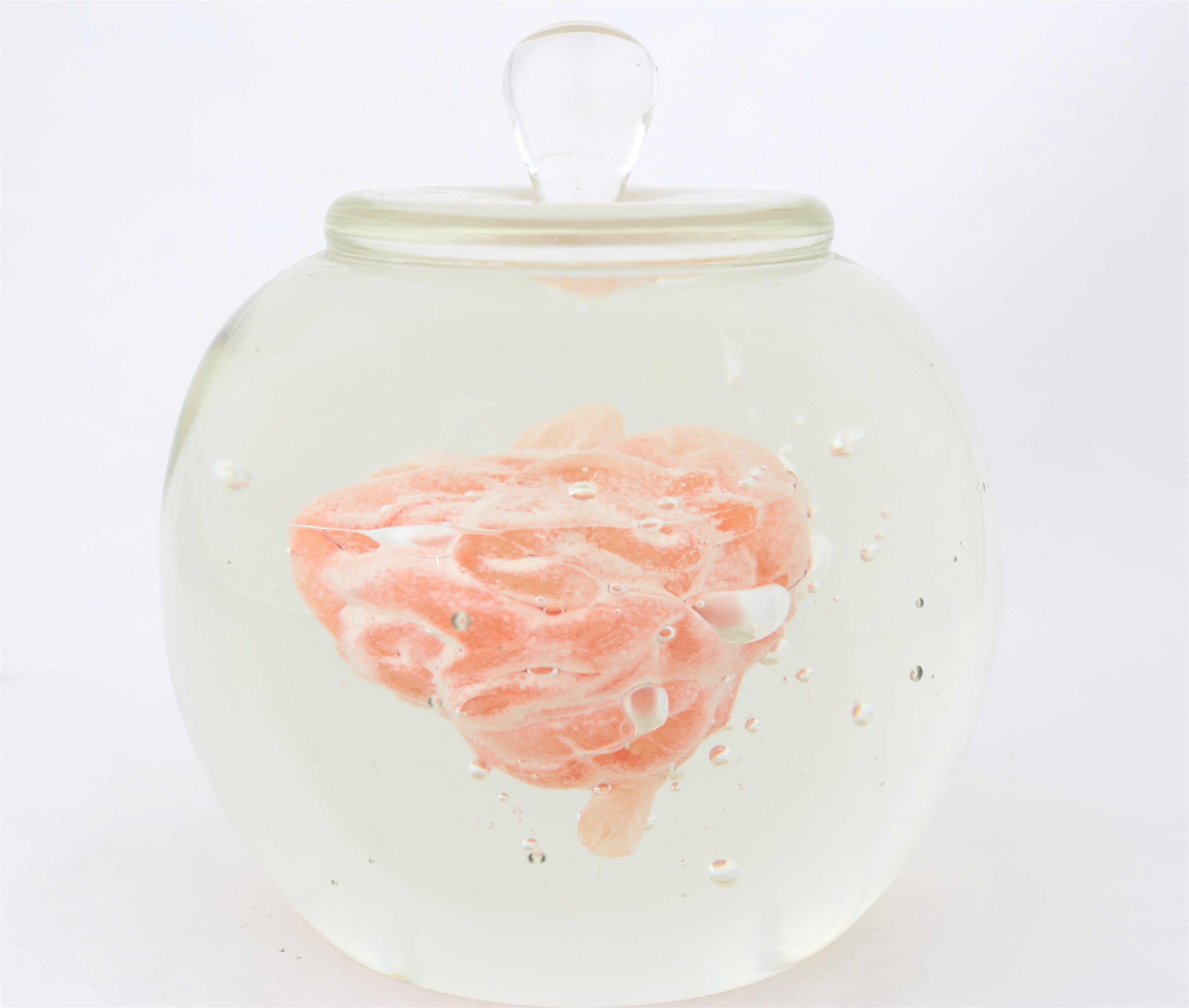 'Preservation Of Knowledge' | 20x17x17cm