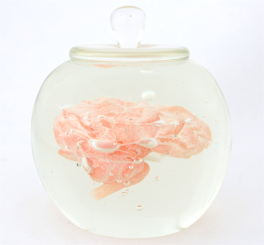 'Preservation Of Knowledge' | 20x17x17cm