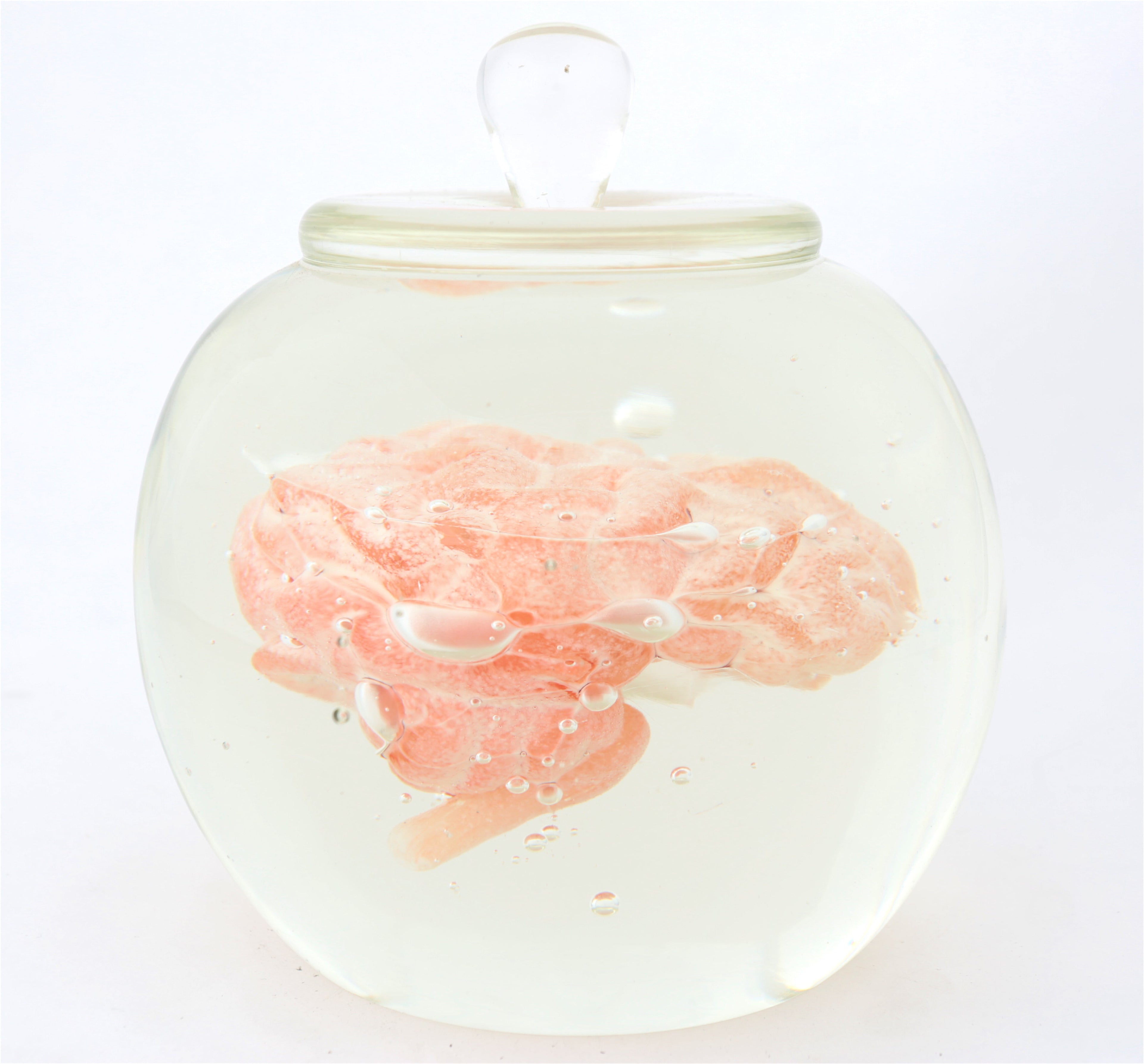 'Preservation Of Knowledge' | 20x17x17cm