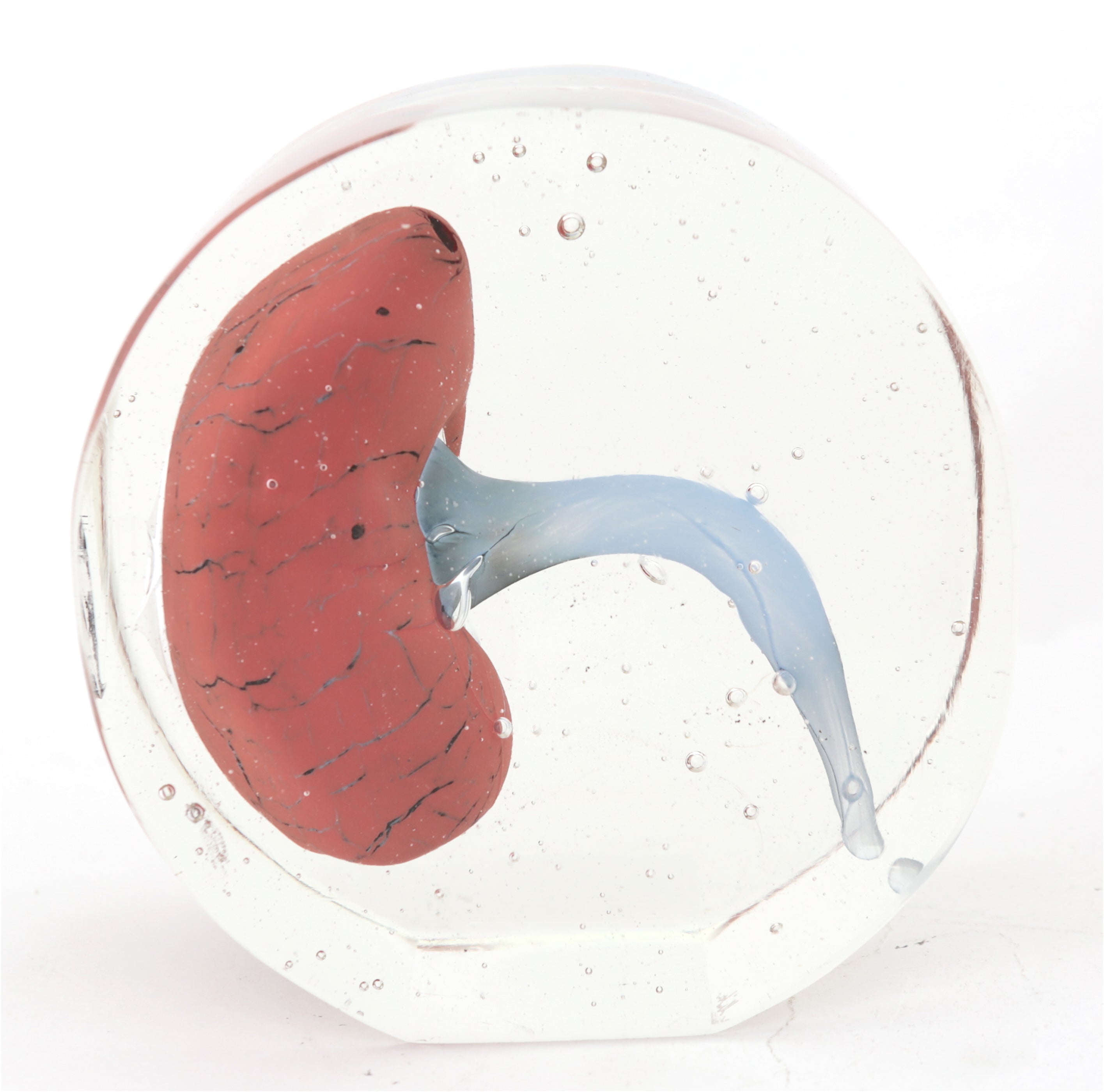'Kidney' | 13x12.5x7cm-thumbmail-1
