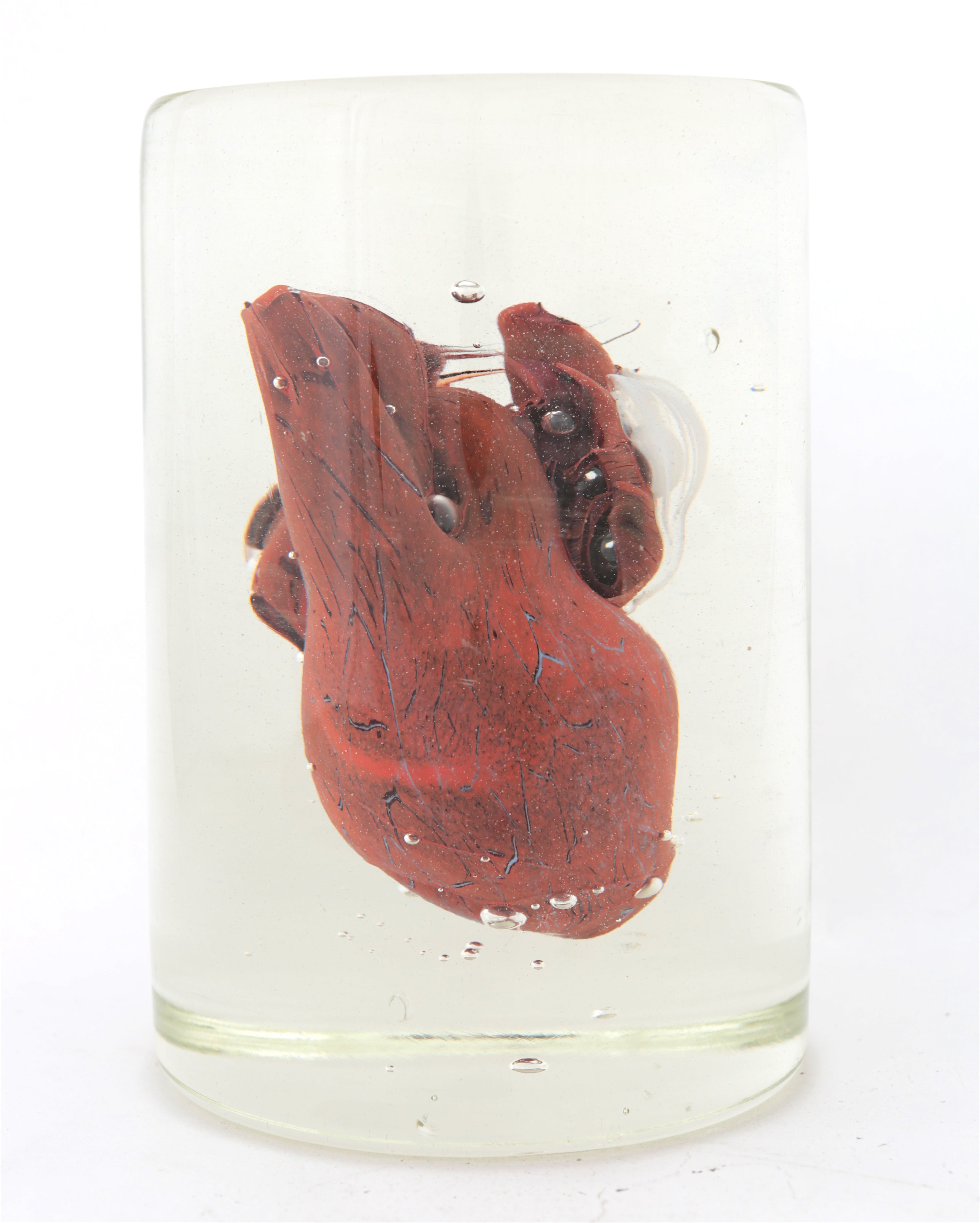 'Pulmonary VII' | 9.5x12.5x12.5cm-thumbmail-1