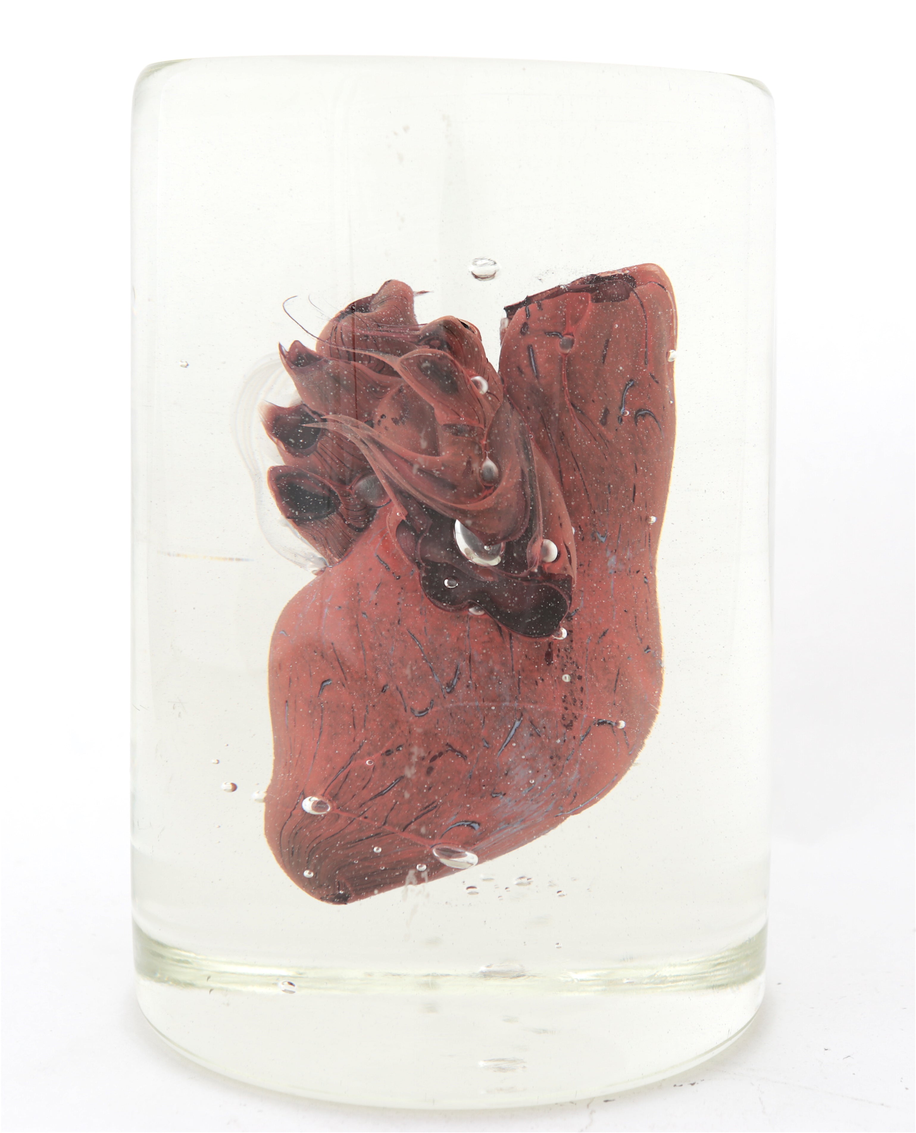 'Pulmonary VII' | 9.5x12.5x12.5cm