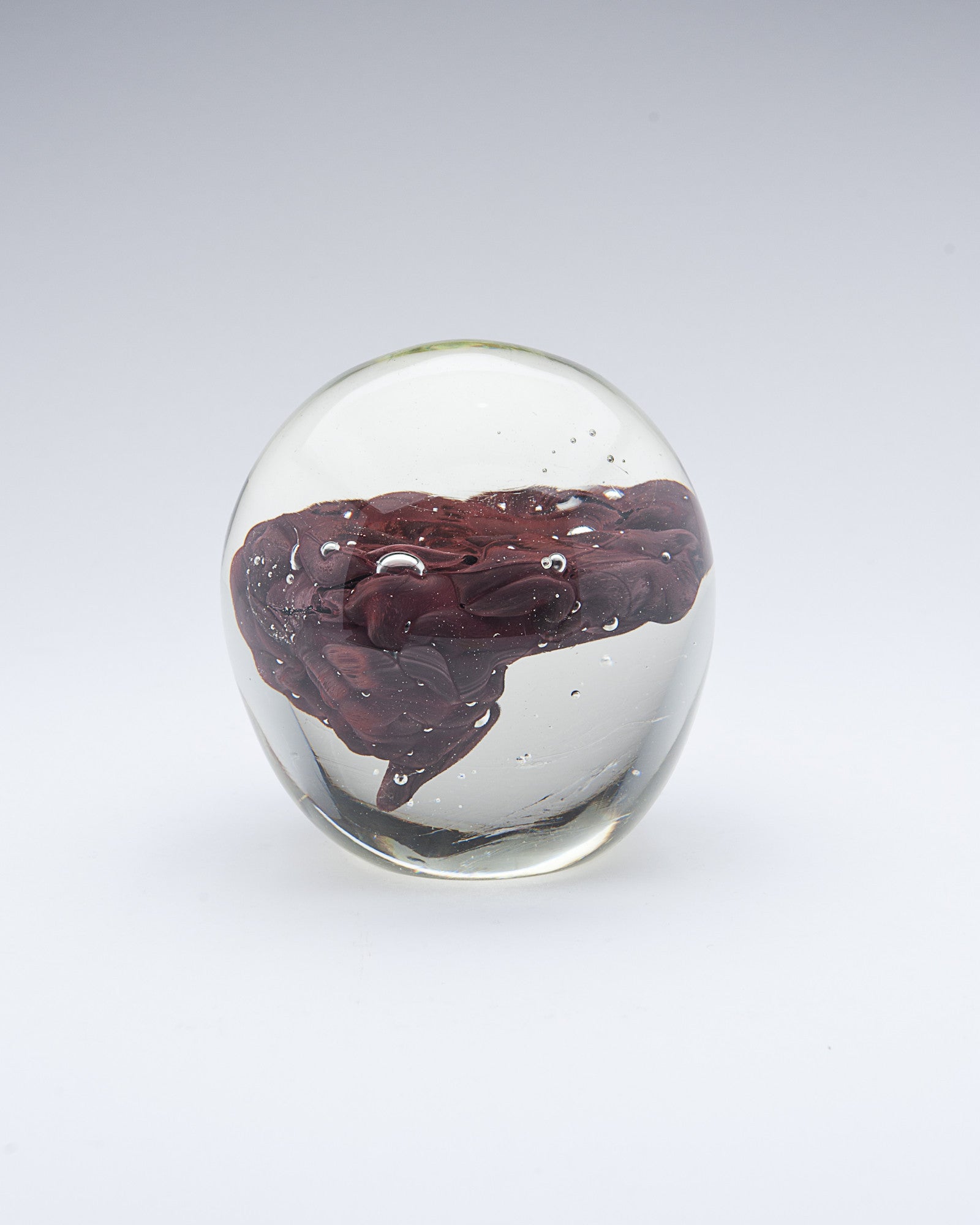 'The Preservation Of Intellect' | 17x16.5x16.5cm