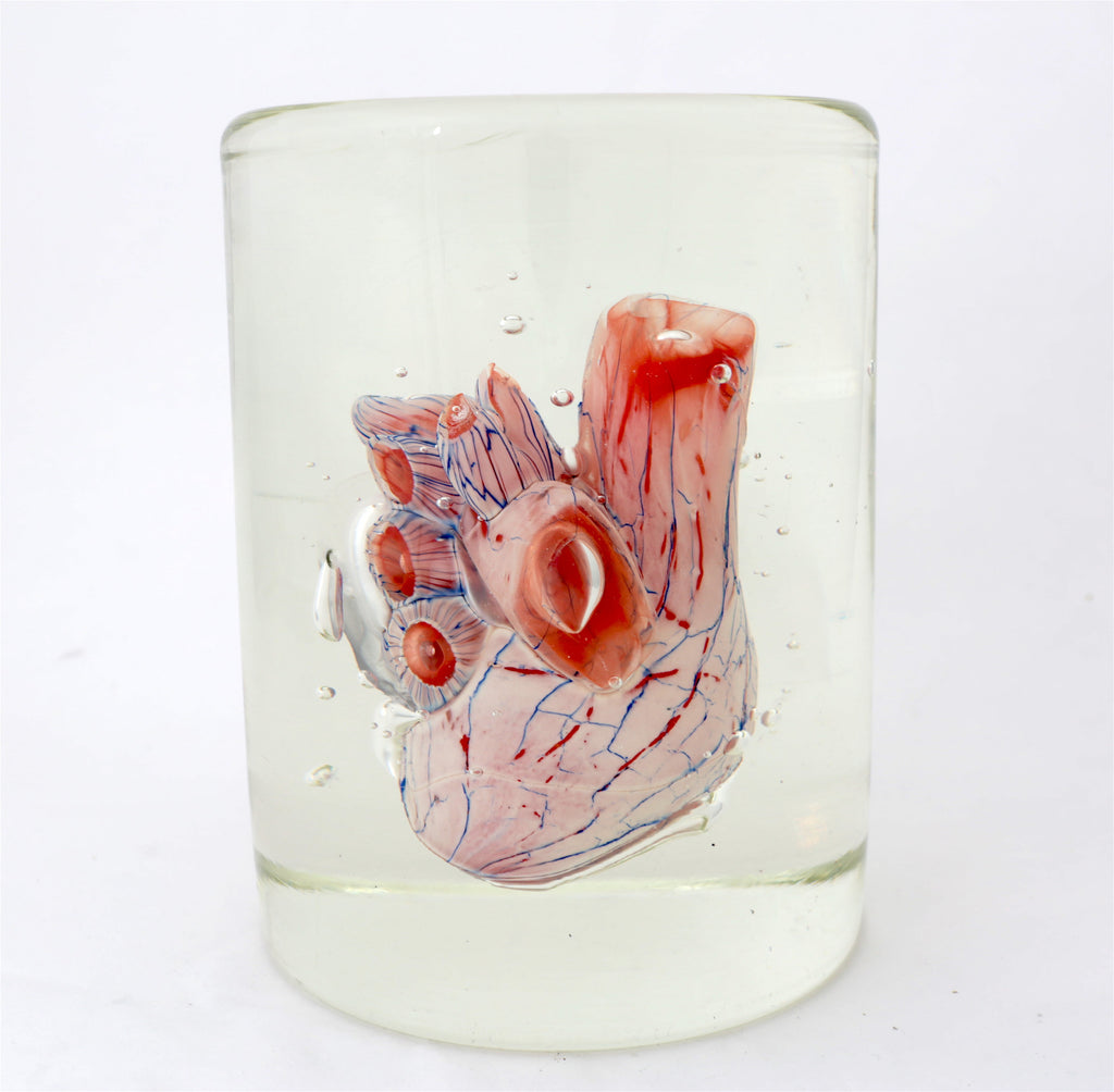 'Cardiology' | 20x14.5x14.5cm