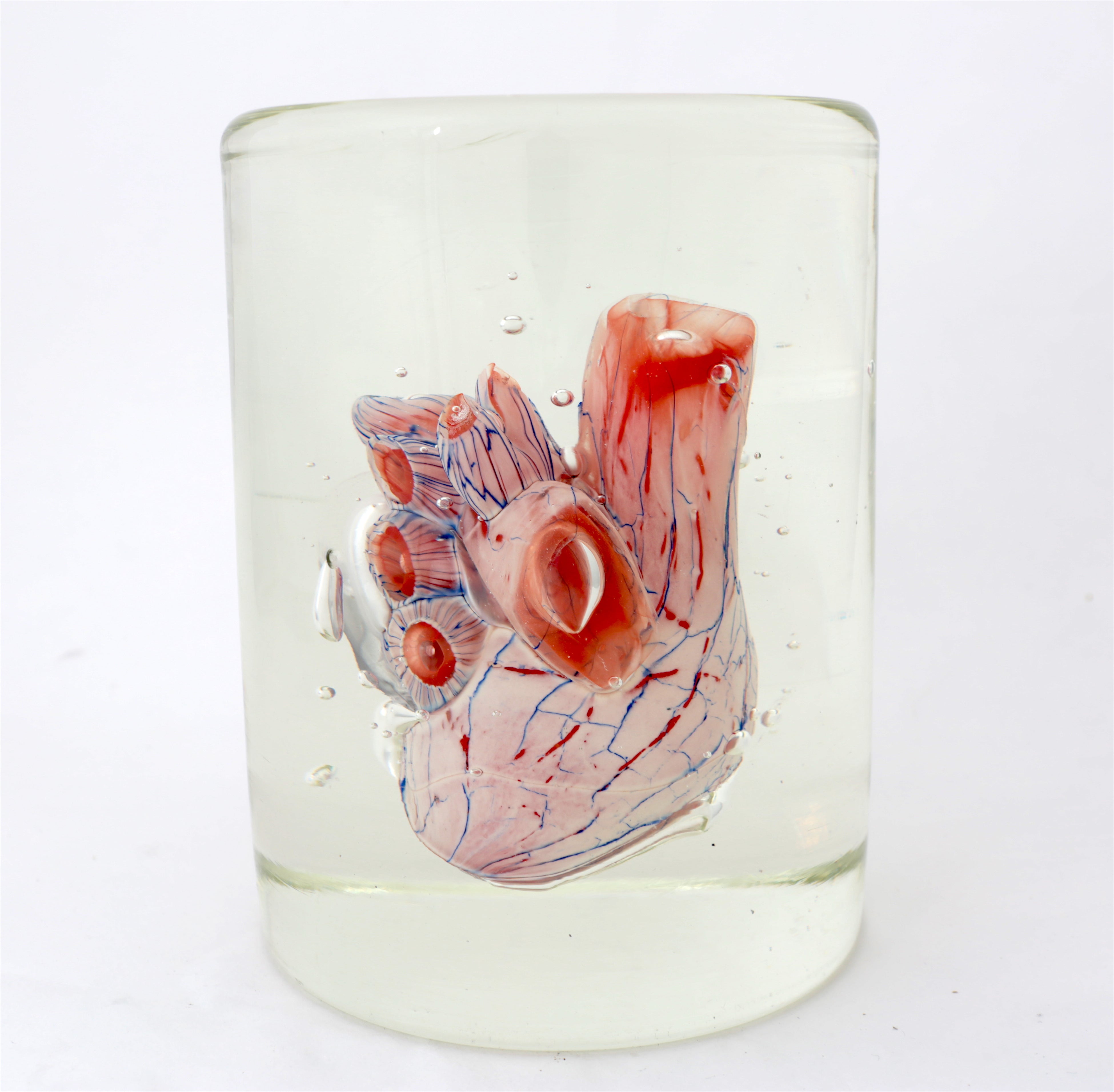 'Cardiology' | 20x14.5x14.5cm-thumbmail-2