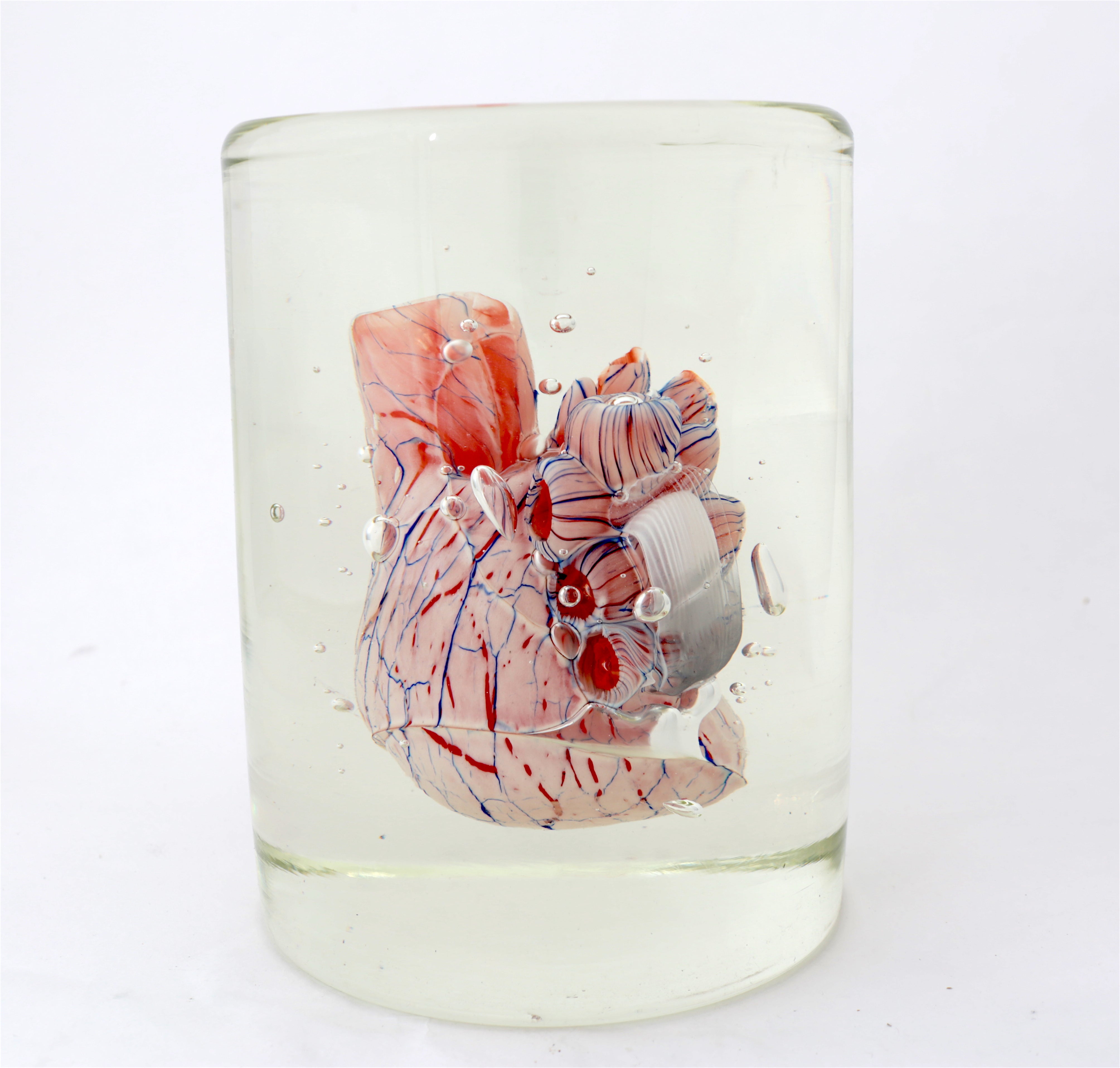 'Cardiology' | 20x14.5x14.5cm-thumbmail-3