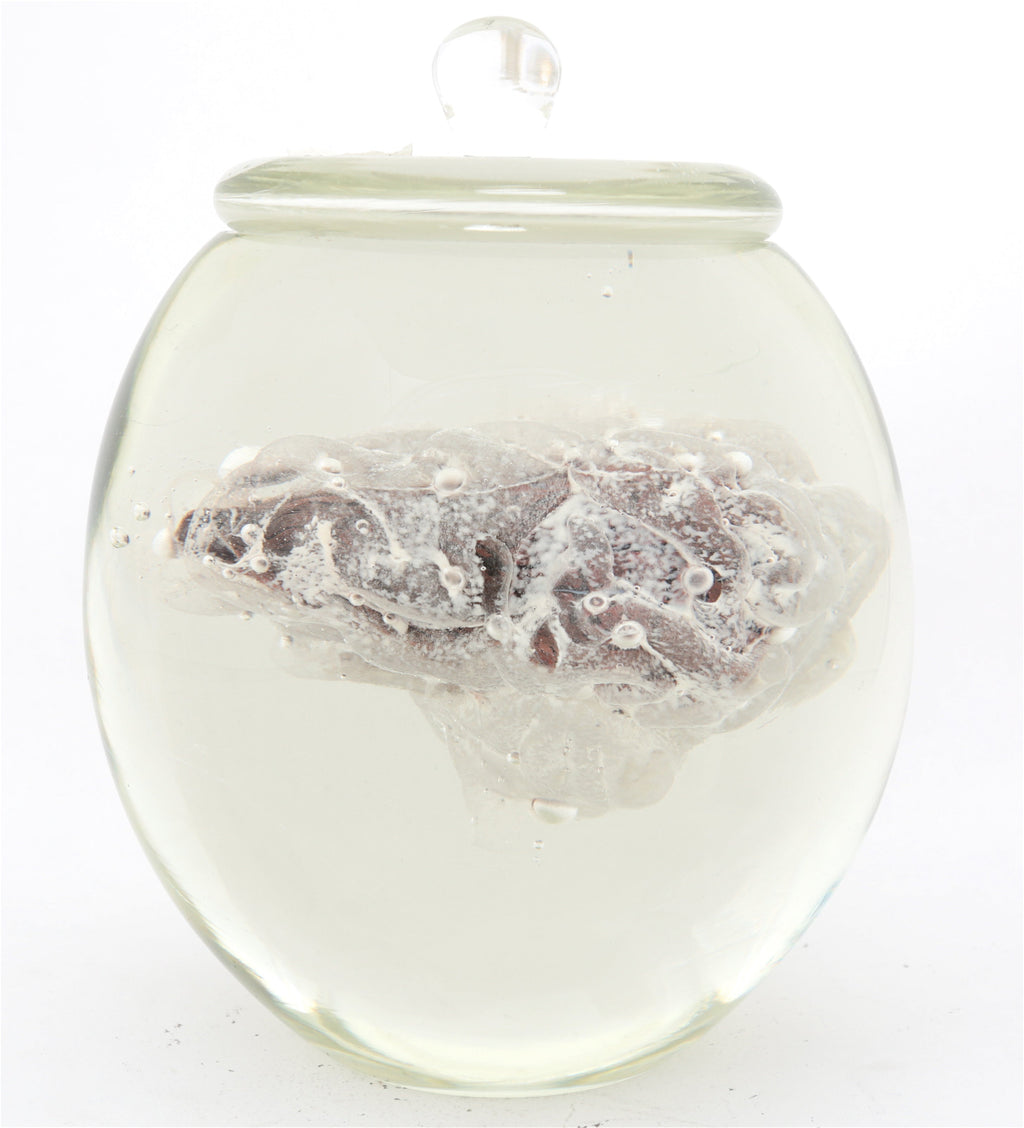 'Preservation Of Knowledge II' | 21x16x16cm