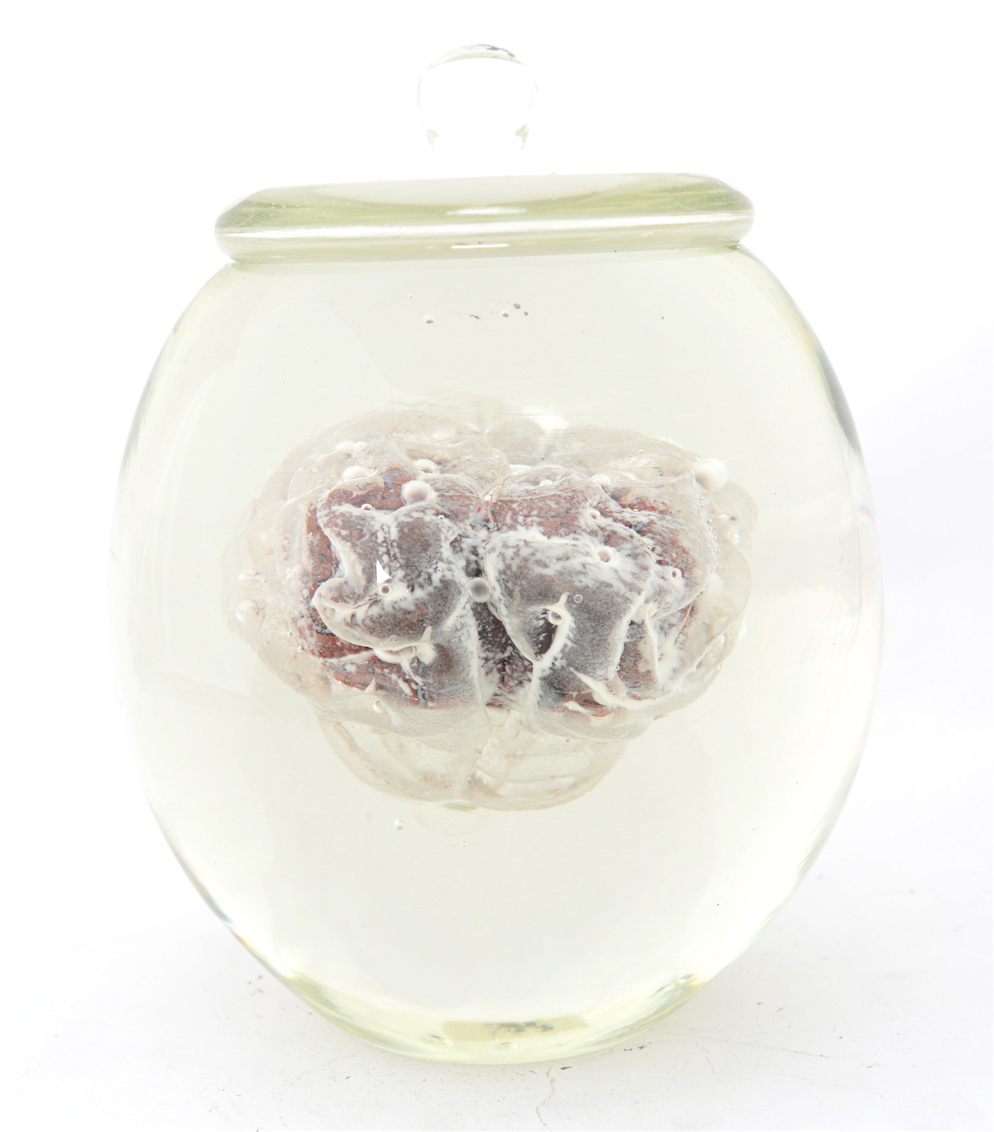 'Preservation Of Knowledge II' | 21x16x16cm-thumbmail-3