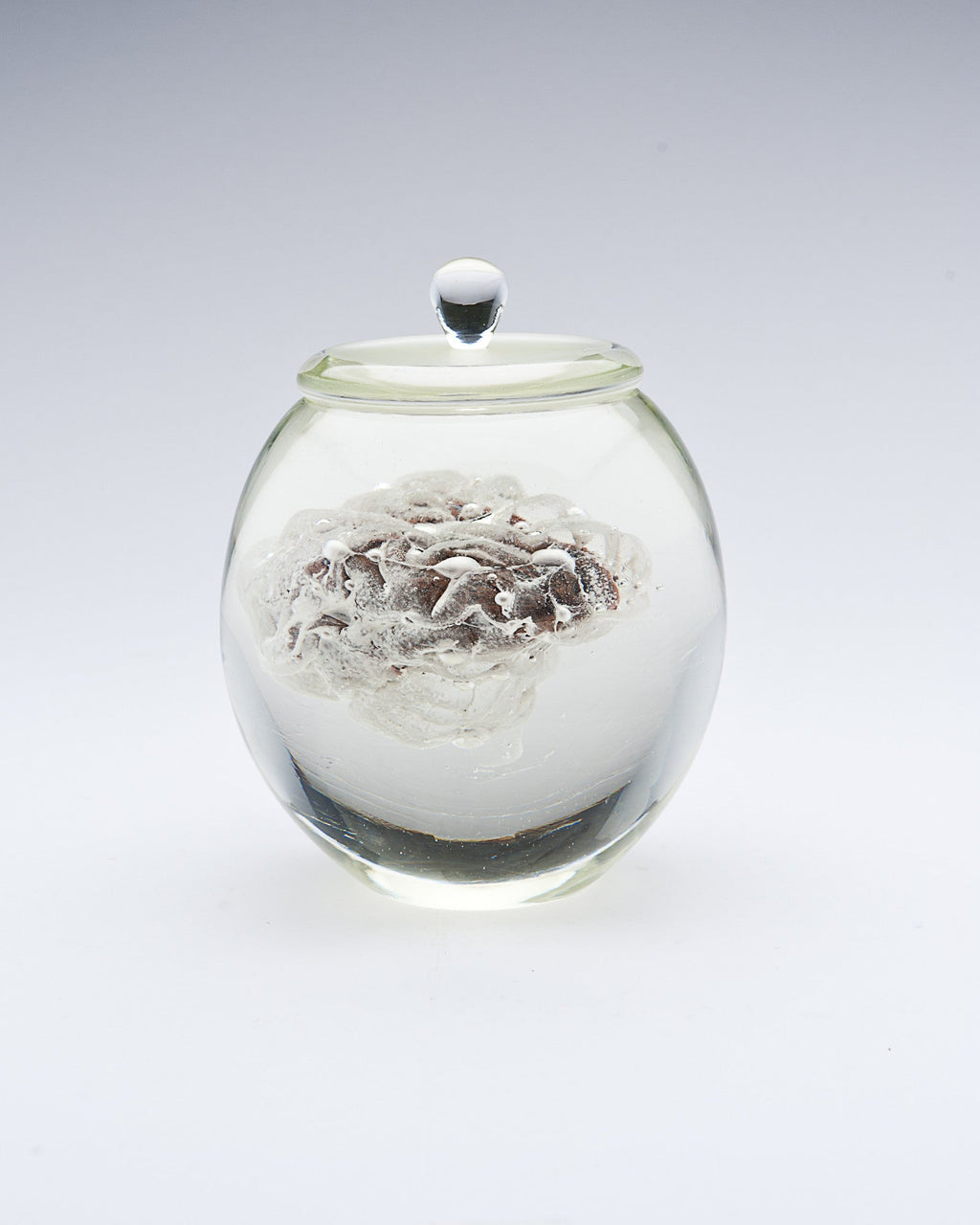 'Preservation Of Knowledge II' | 21x16x16cm