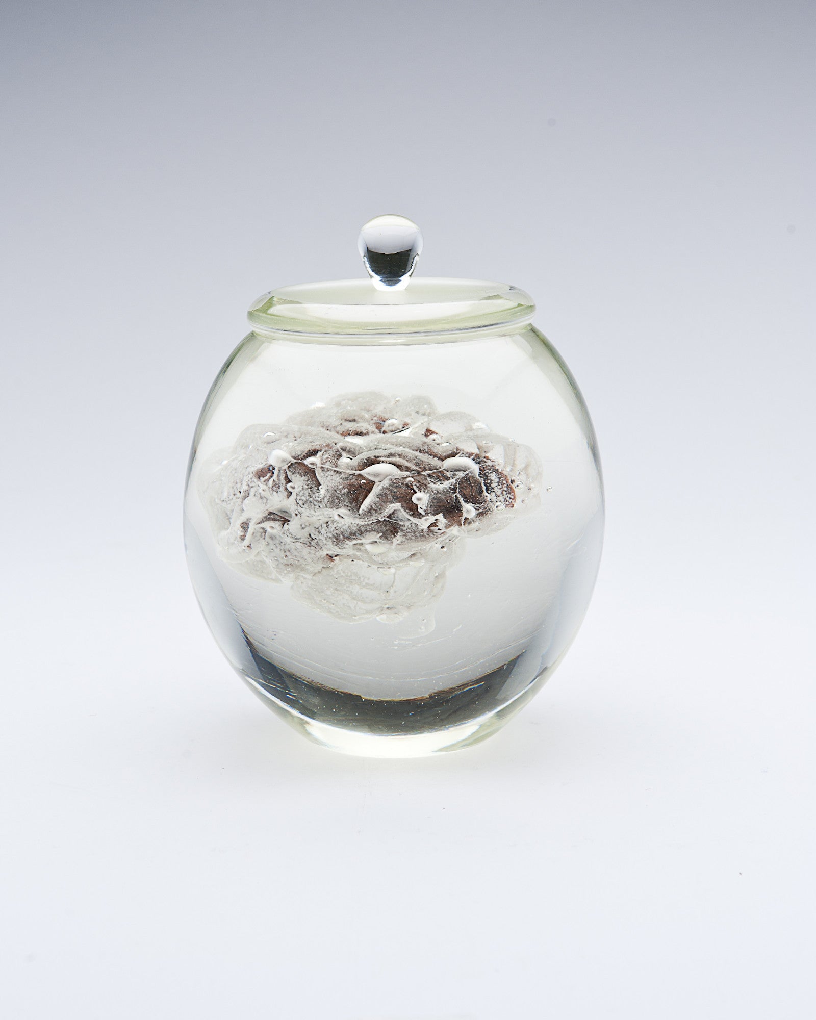 'Preservation Of Knowledge II' | 21x16x16cm