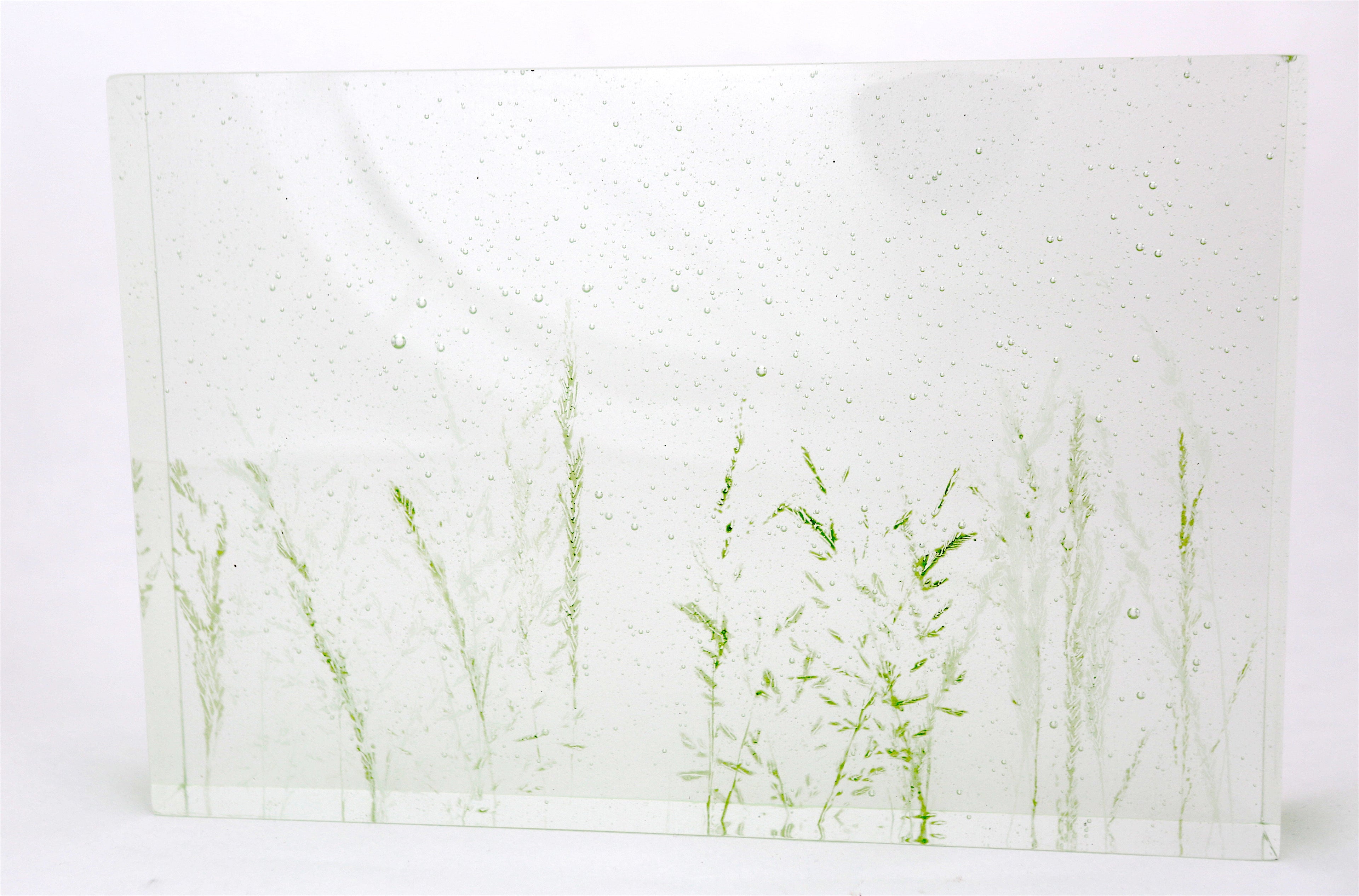 'Poaceae I' | 19.5x28.5x4cm