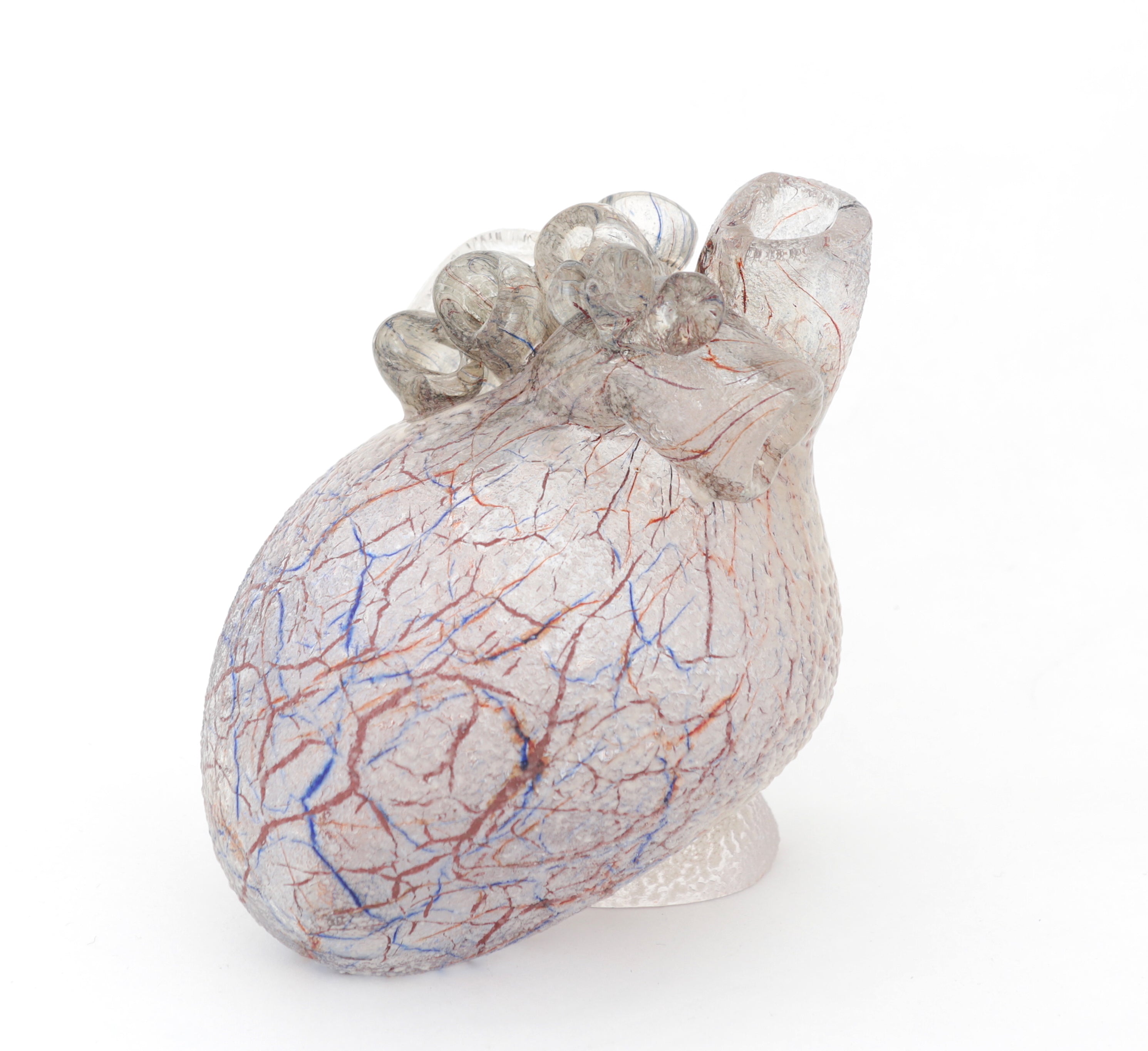 'Cardio IX' | 14x12.5x10cm