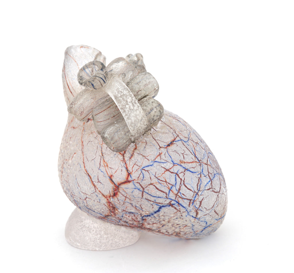 'Cardio IX' | 14x12.5x10cm