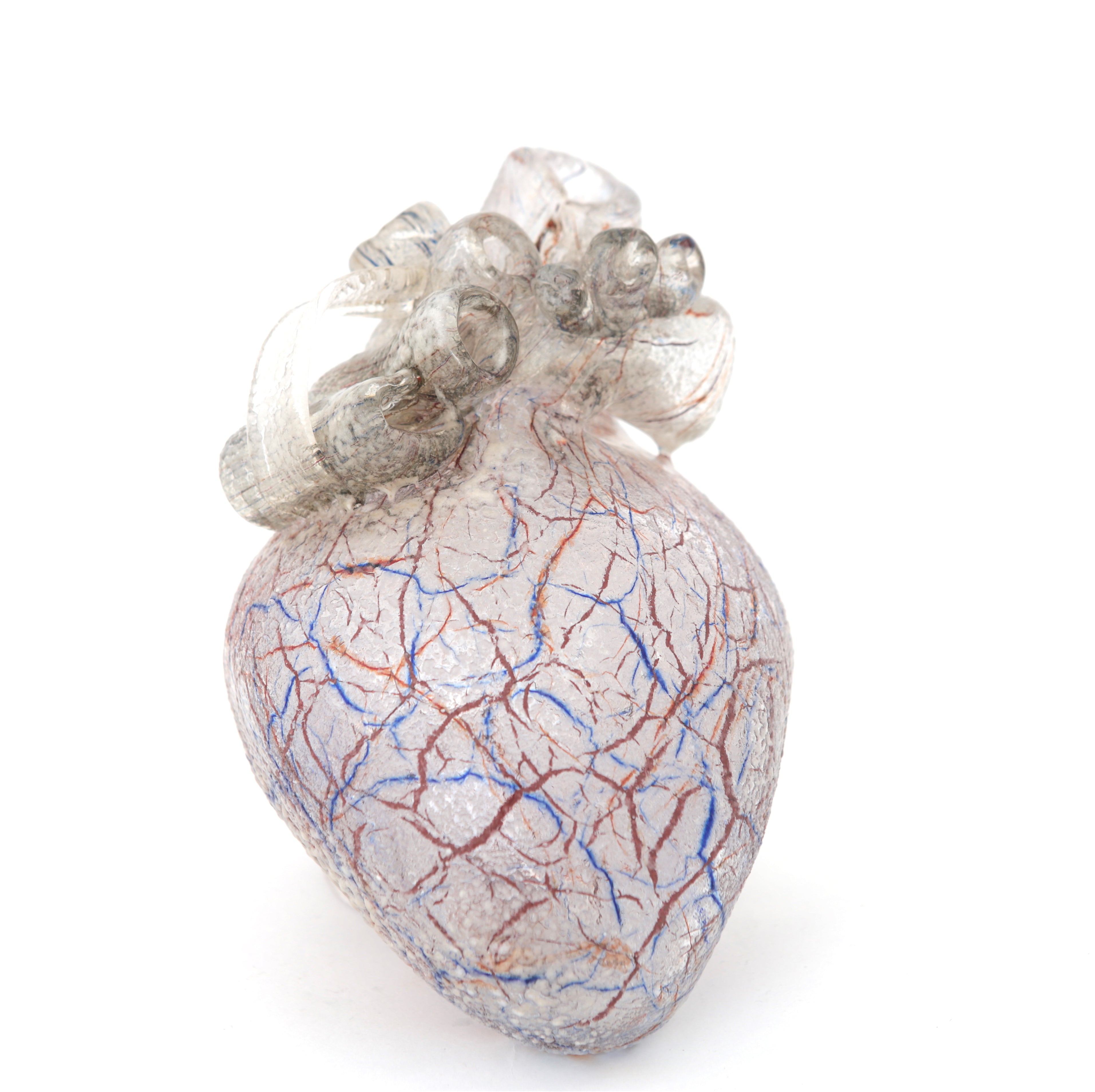 'Cardio IX' | 14x12.5x10cm