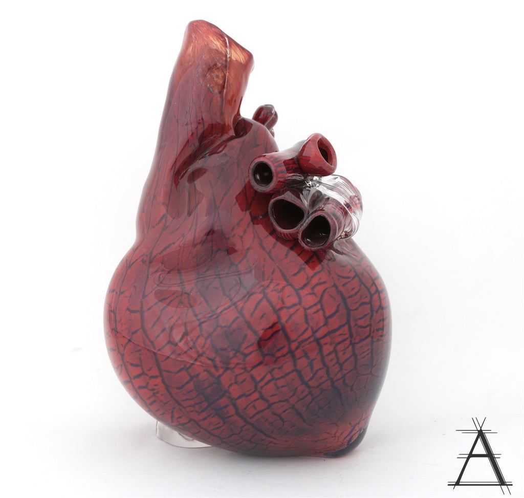 'Cardio XI' | 26x12.5x15.5cm