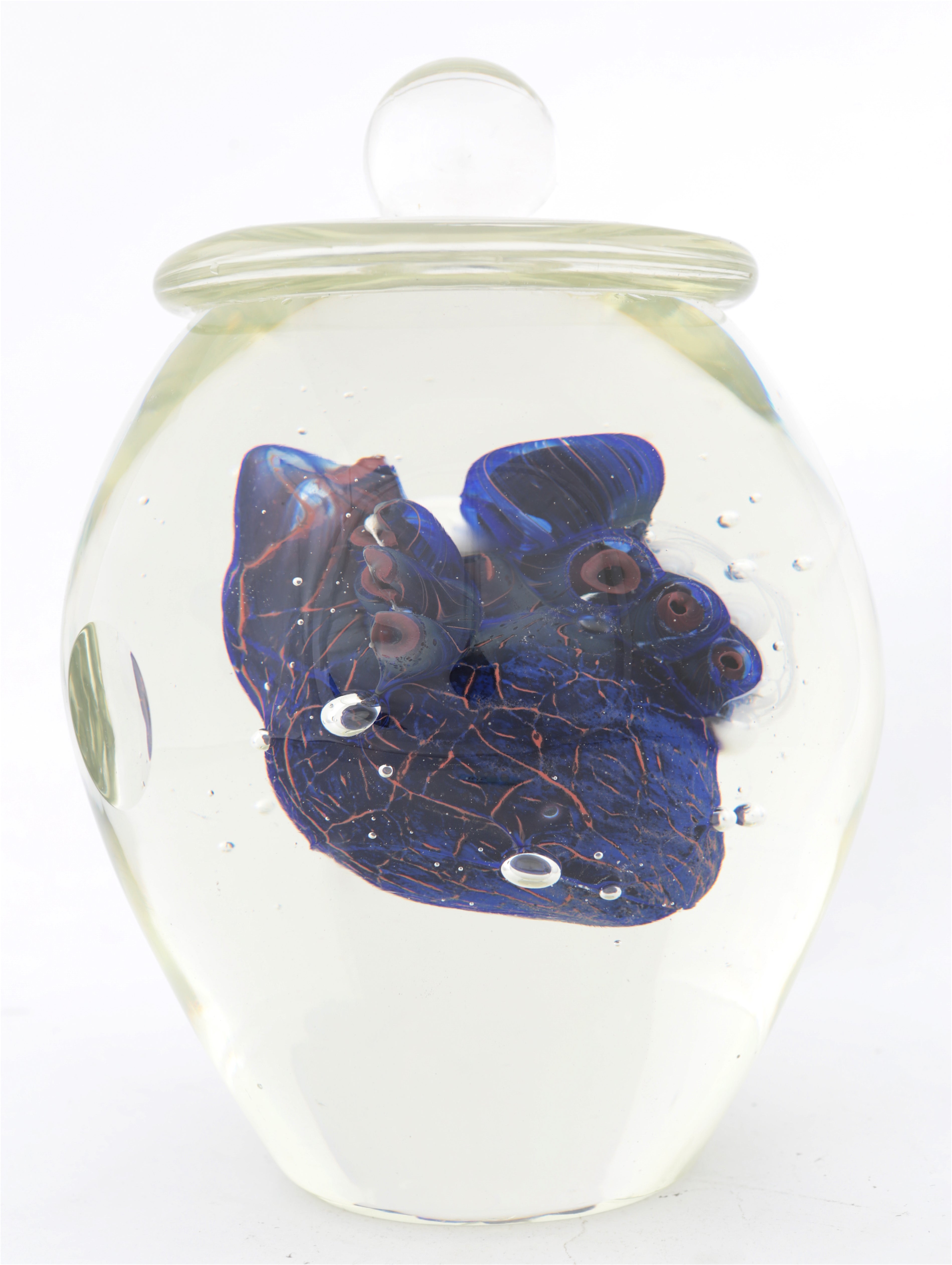 'The Medical Gaze' | 24x18x18cm