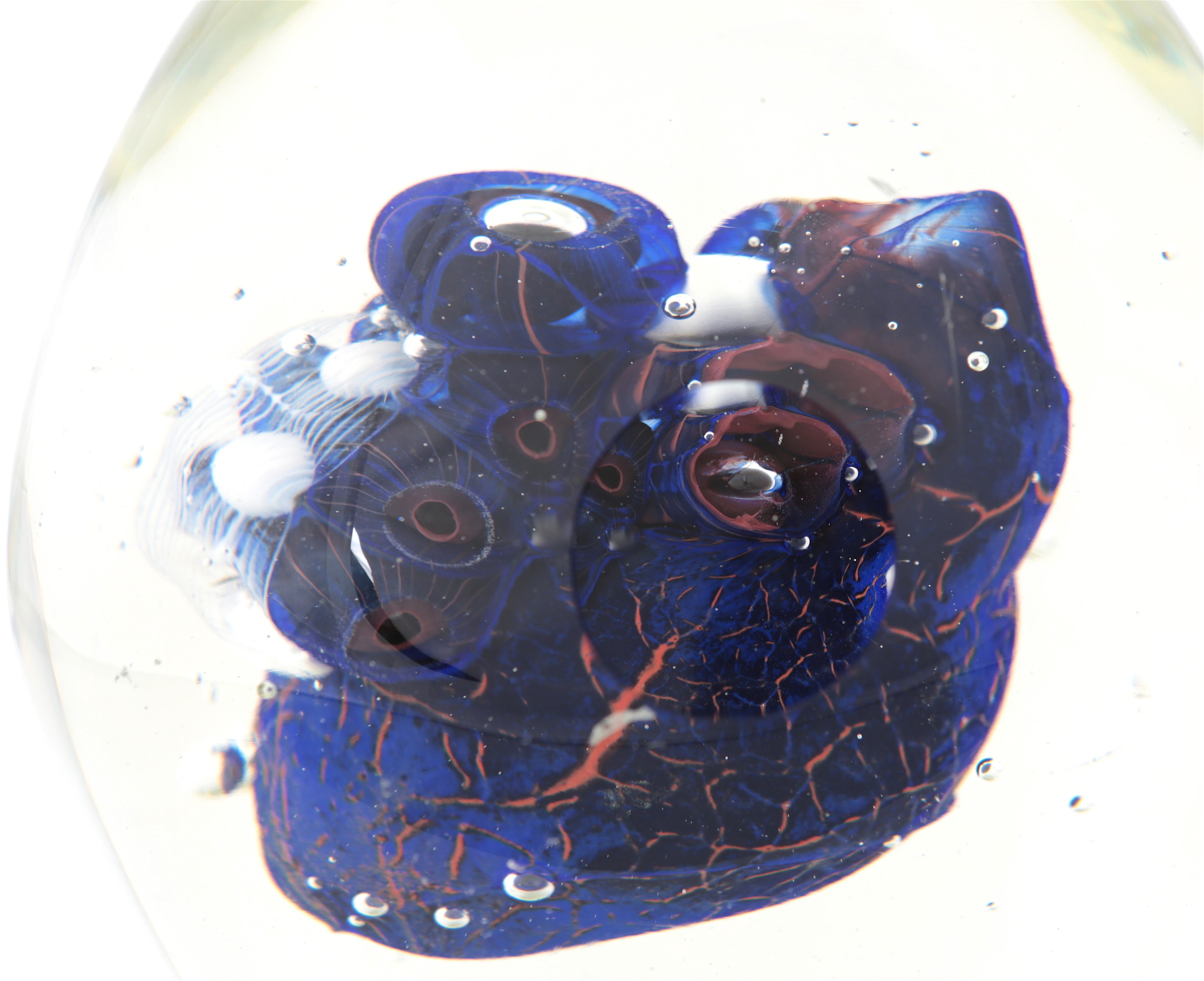 'The Medical Gaze' | 24x18x18cm