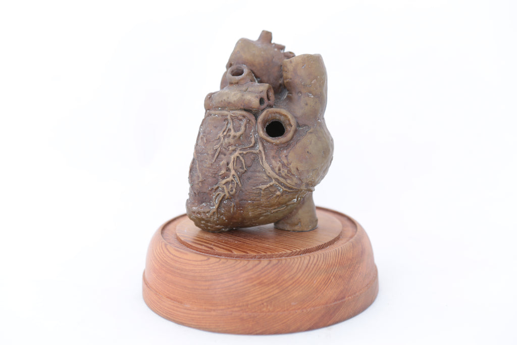 Tachycardia I, 2017 | Tegan Hamilton | 12x8.5x8.5cm